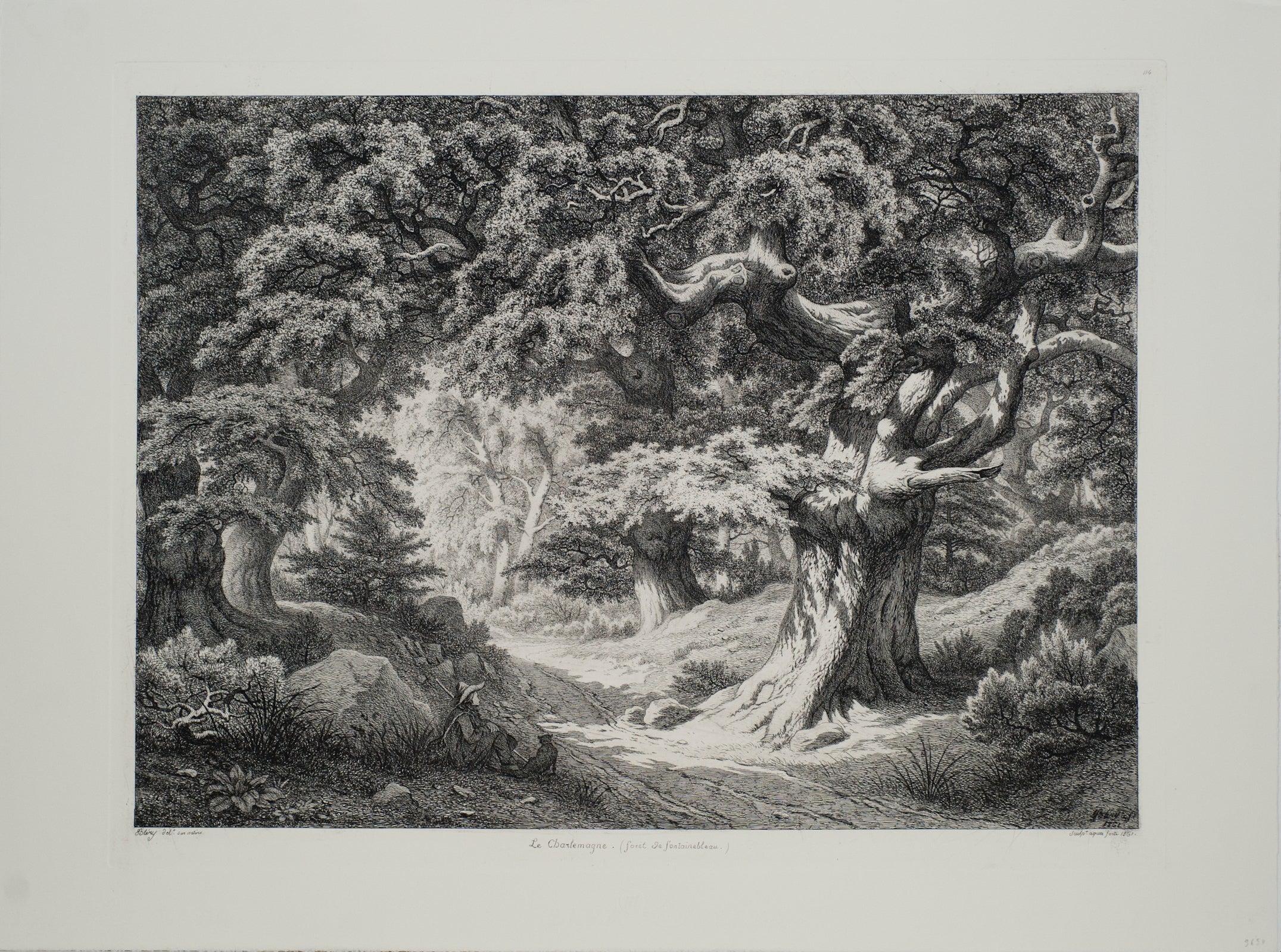 Le Charlemagne (Foret de Fontainebleau)- 1991