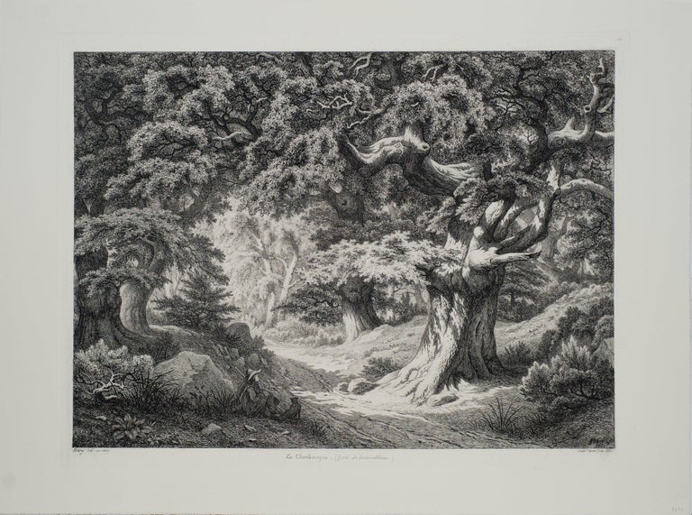 Le Charlemagne (Foret de Fontainebleau at 1stDibs