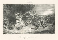 Antique Jeune Tigre jouant avec sa mère (Young Tiger playing with its mother)