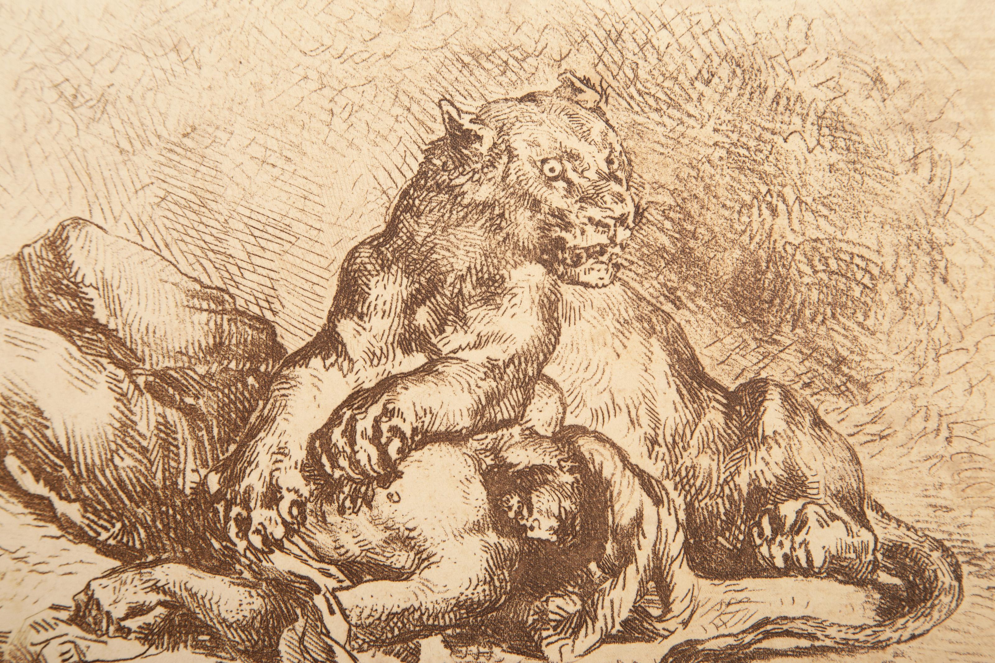 Lionne Dechirant la Poitrine d'un Arabe, Gravure moderne d'Eugene Delacroix en vente 1