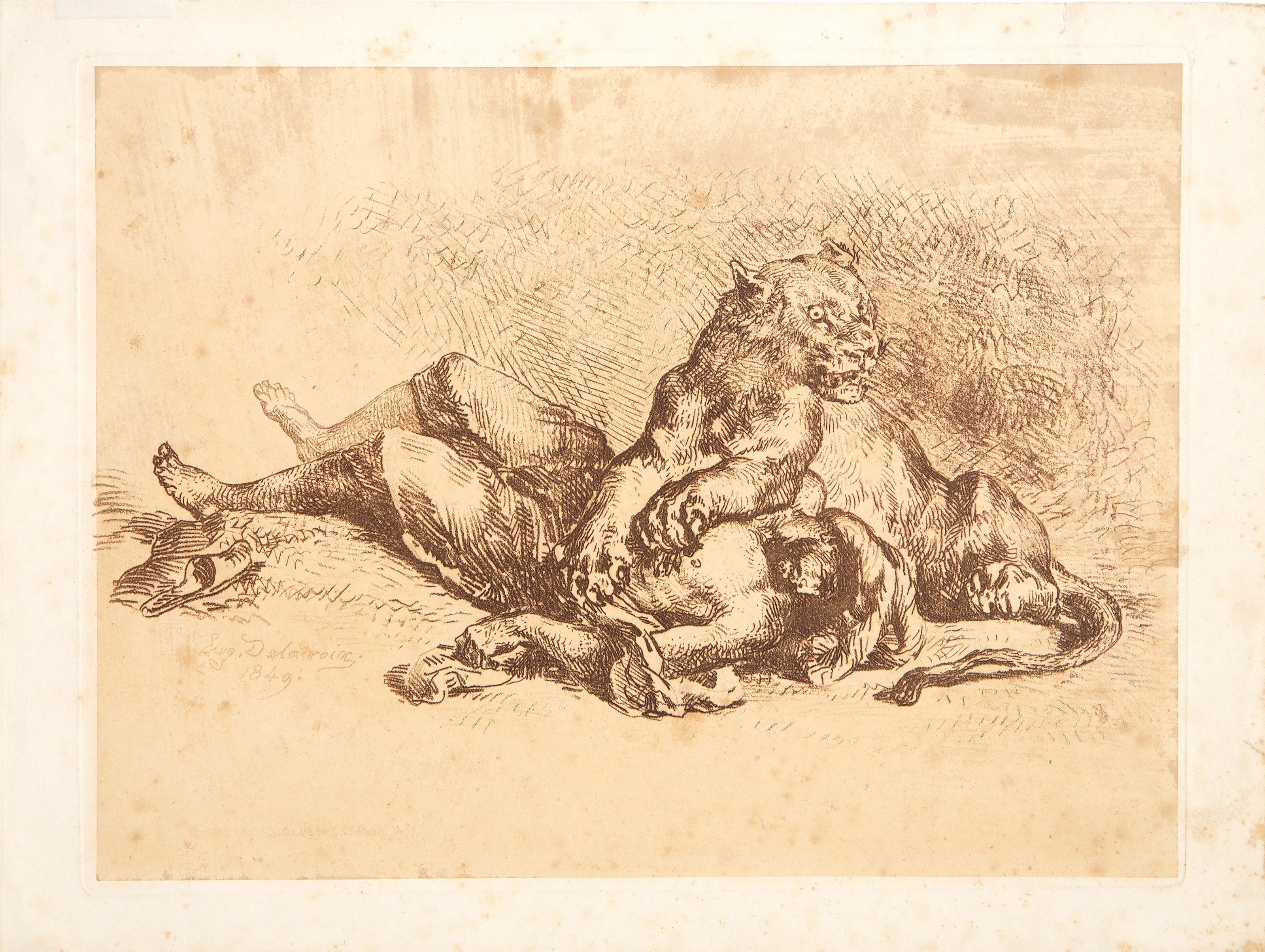  Eugène Delacroix, Français (1798 - 1863) -  Lionne Dechirant la Poitrine d'un Arabe, Année : 1849, Médium : Gravure à l'eau-forte, signée et datée dans la planche, Taille de l'image : 8 x 10.75 pouces, Format : 9.5 x 12.75 in. (24.13 x 32.39 cm),