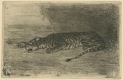 Tigre couché à l'entrée de son antre  (Tiger Lying at the Entrance to its Lair)