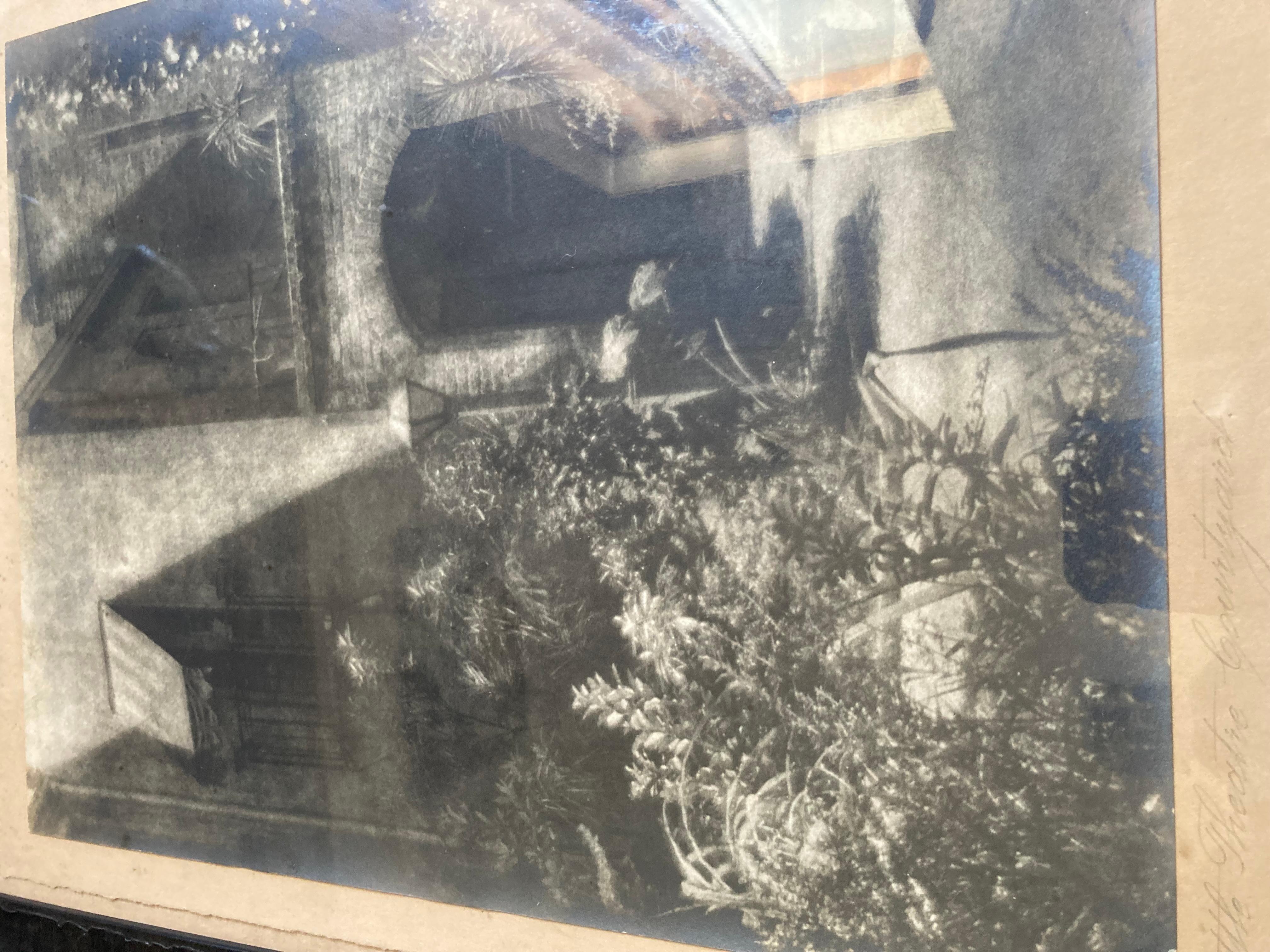 Little Theatre Courtyard, New Orleans (Signiert) – Photograph von Eugene Delcroix