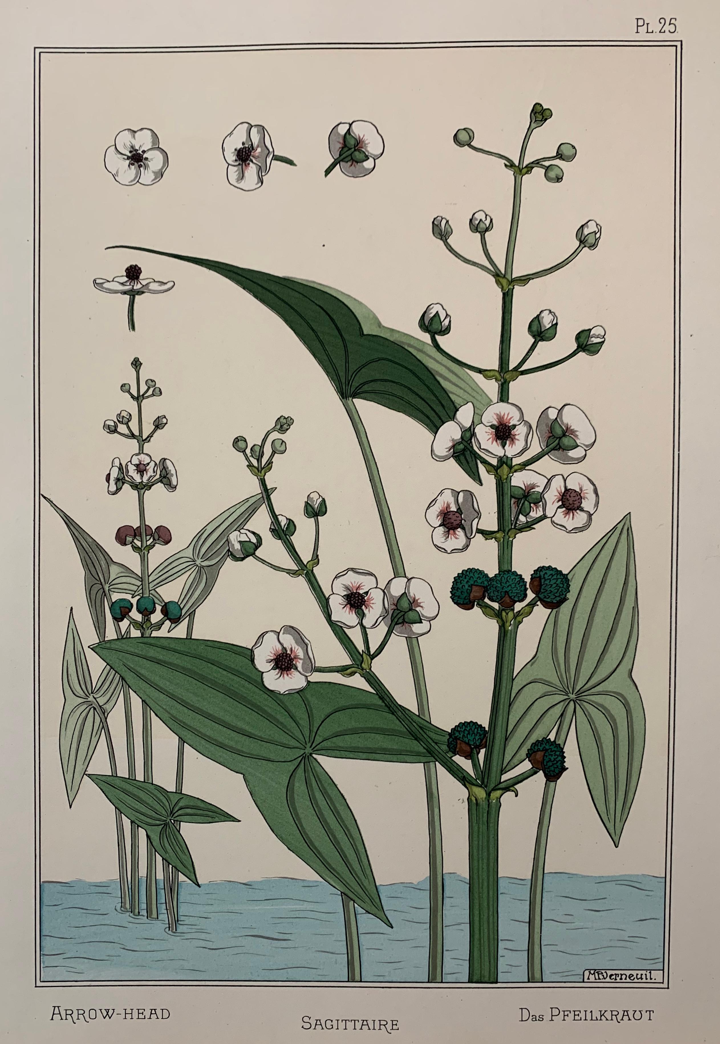 La plante et ses Applications Ornamentales Volumes 1 et 2 - Marron Figurative Print par Eugene Grasset