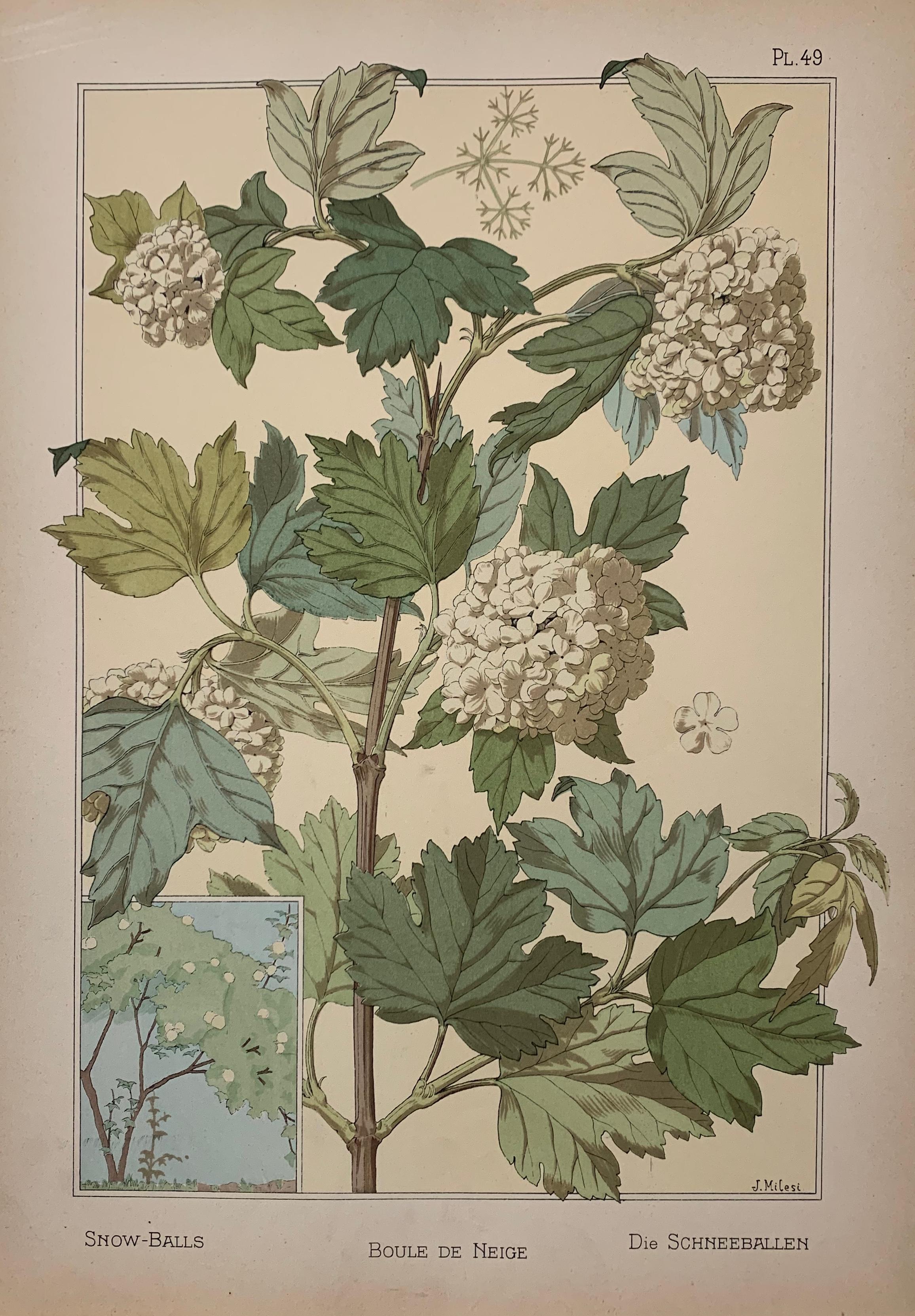 Figurative Print Eugene Grasset - La plante et ses Applications Ornamentales Volumes 1 et 2