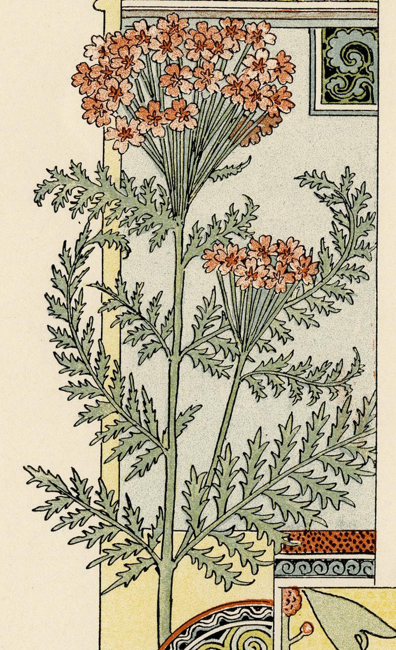leo grasset