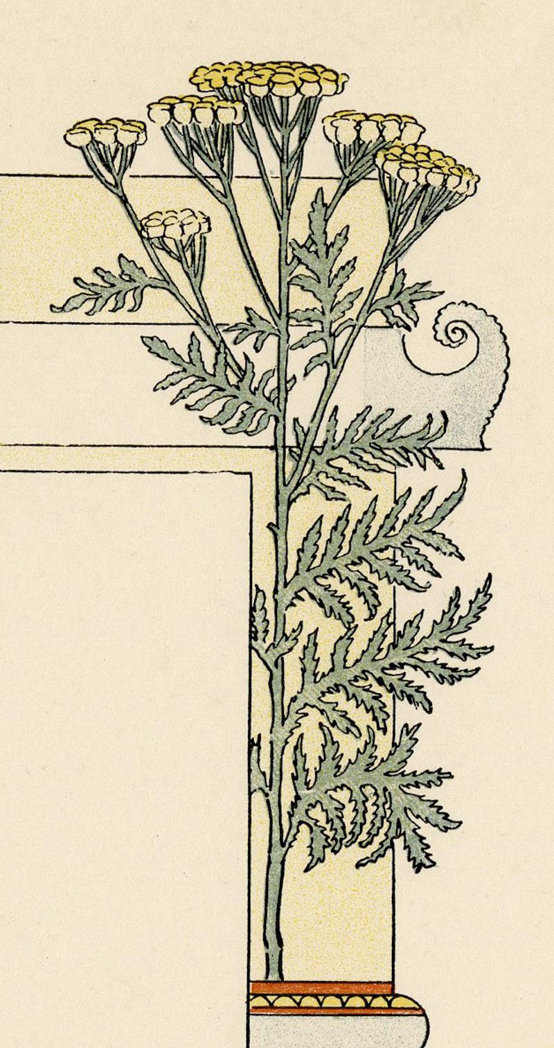 Leo-The Lion - Art Nouveau Print by Eugene Grasset