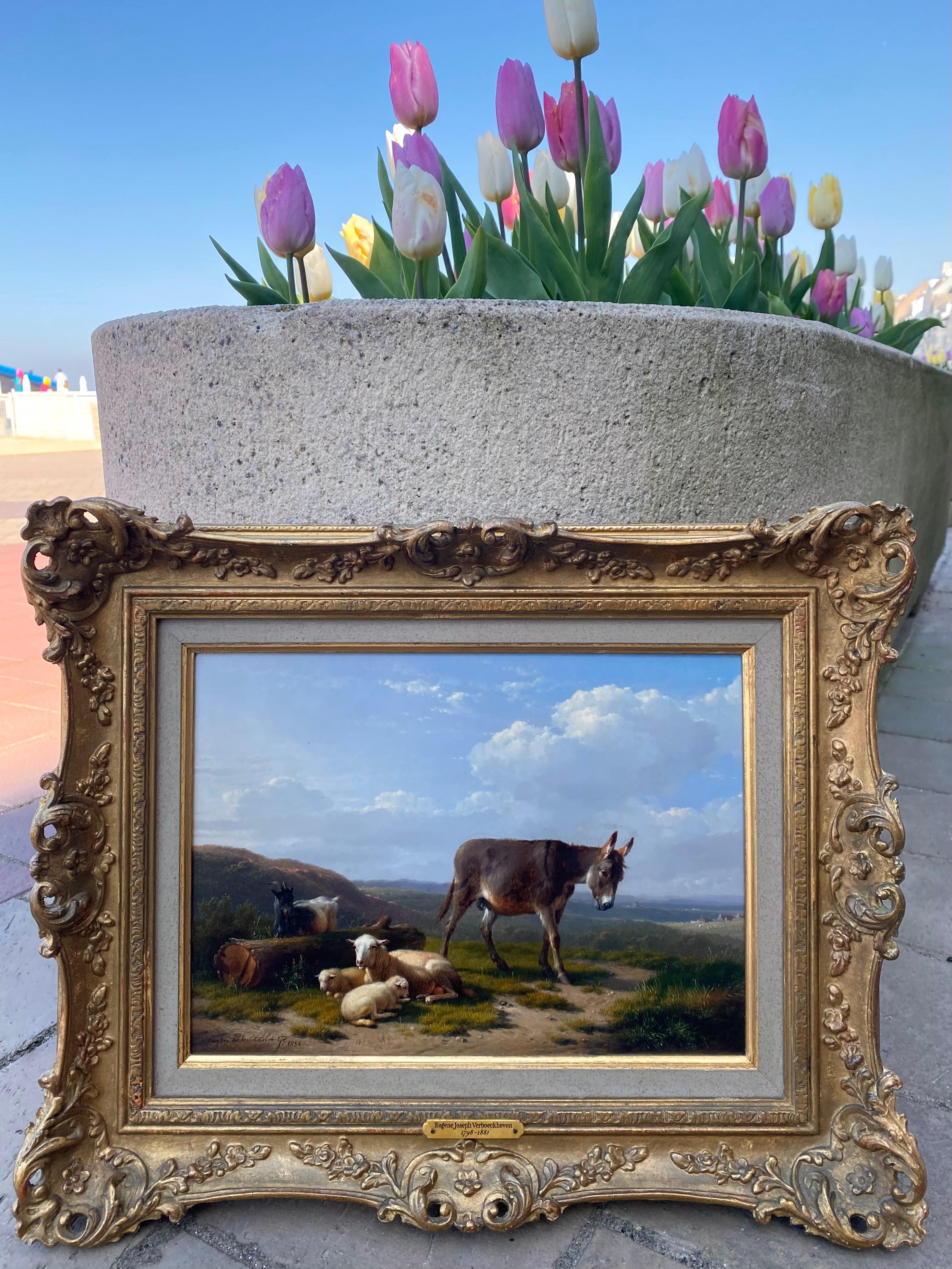 The Little Donkey