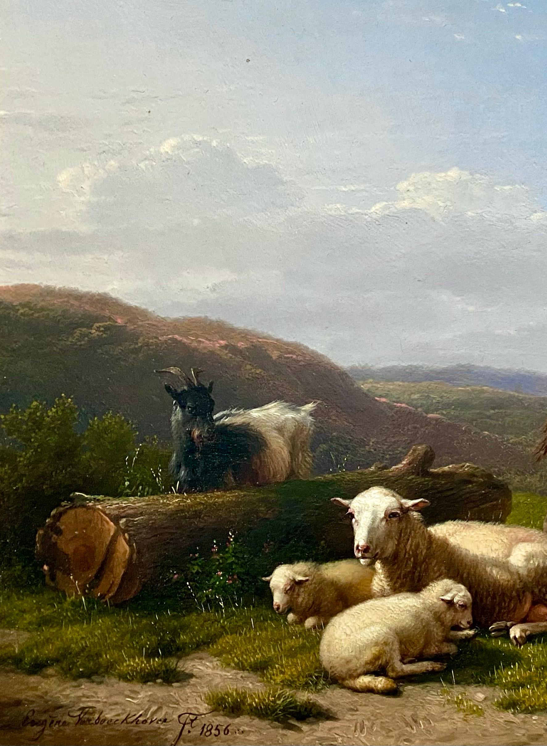 The Little Donkey
