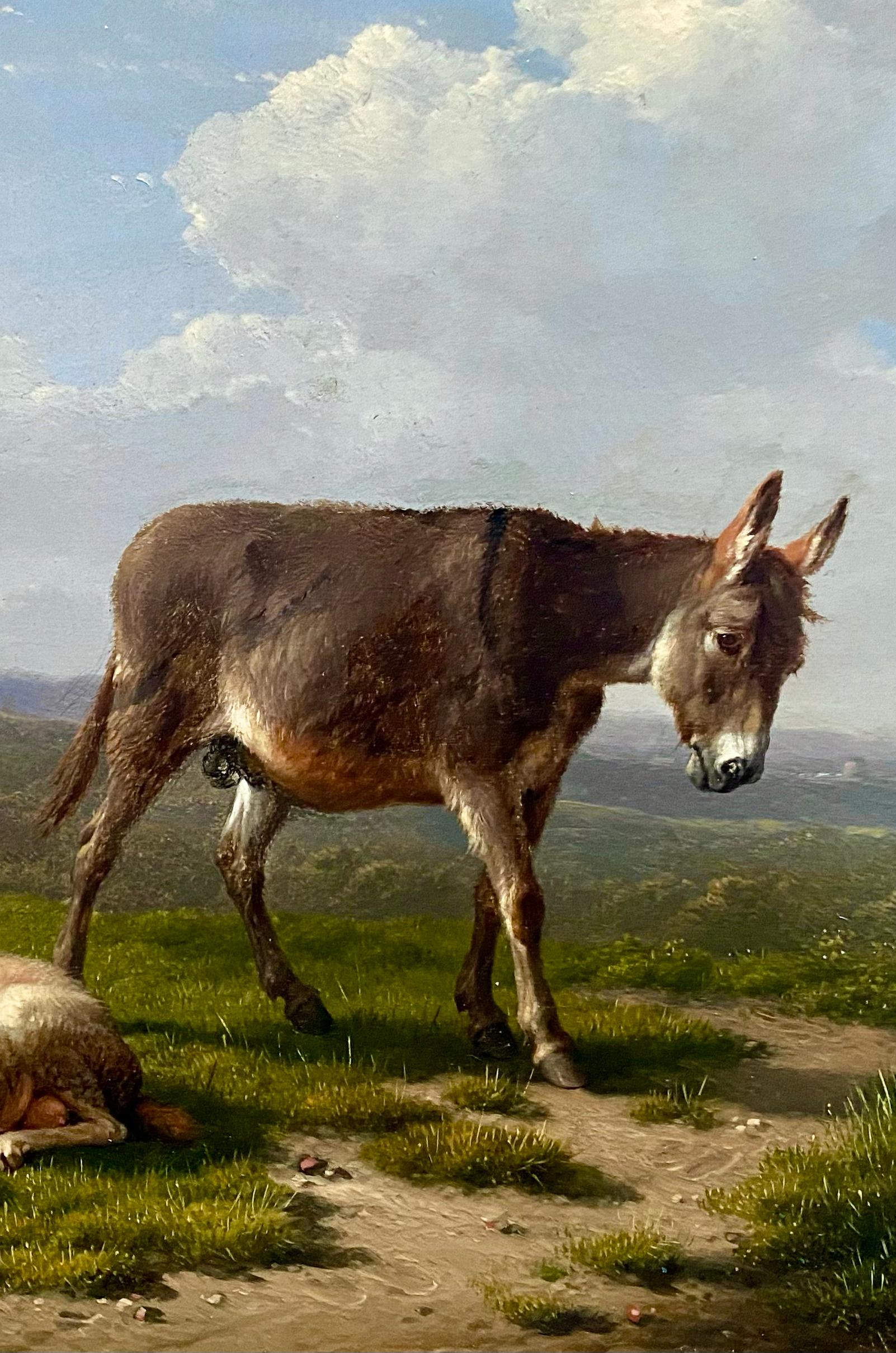 The Little Donkey
