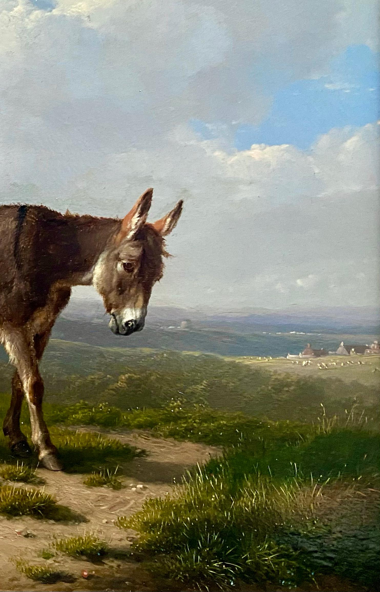 The Little Donkey
