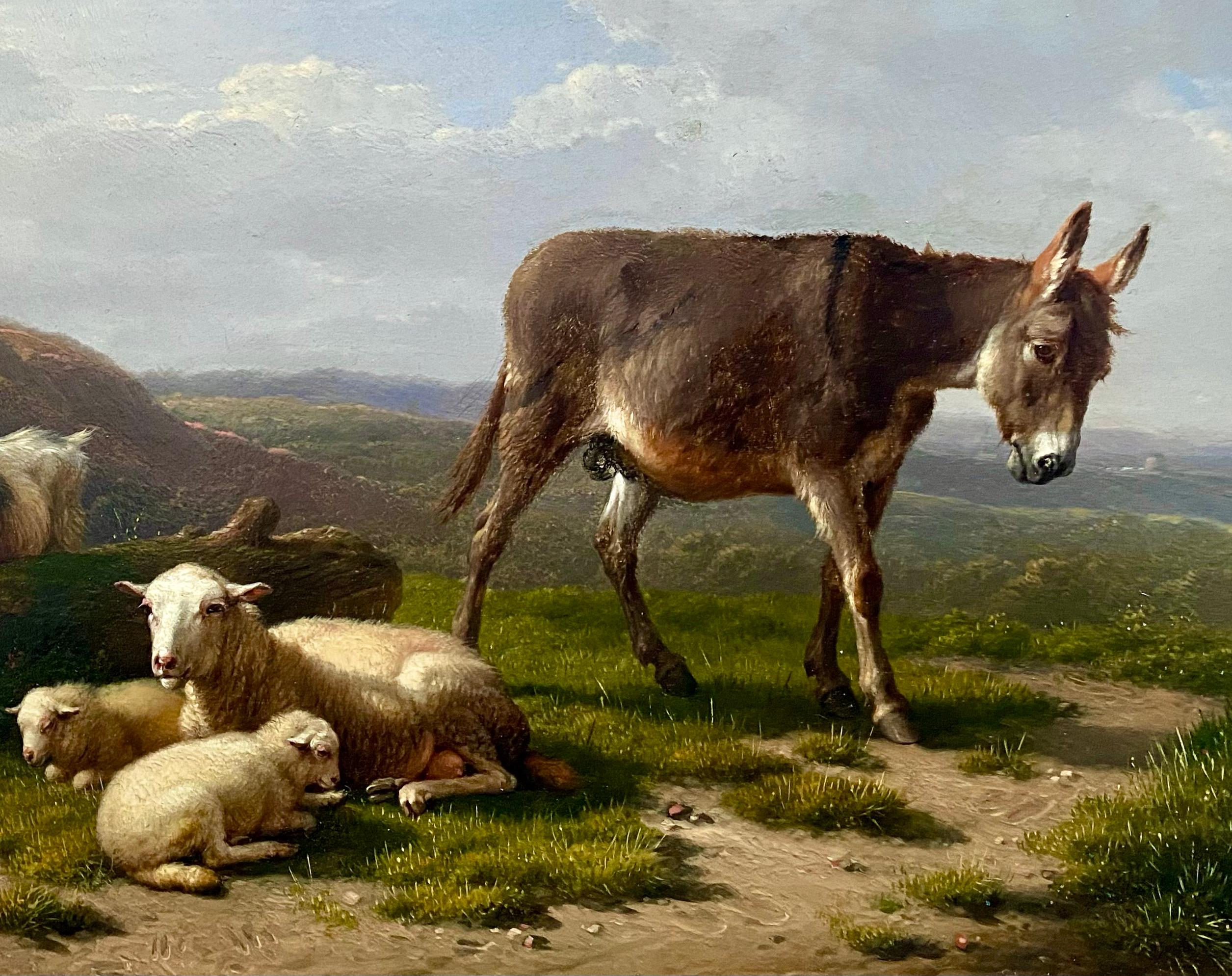 The Little Donkey