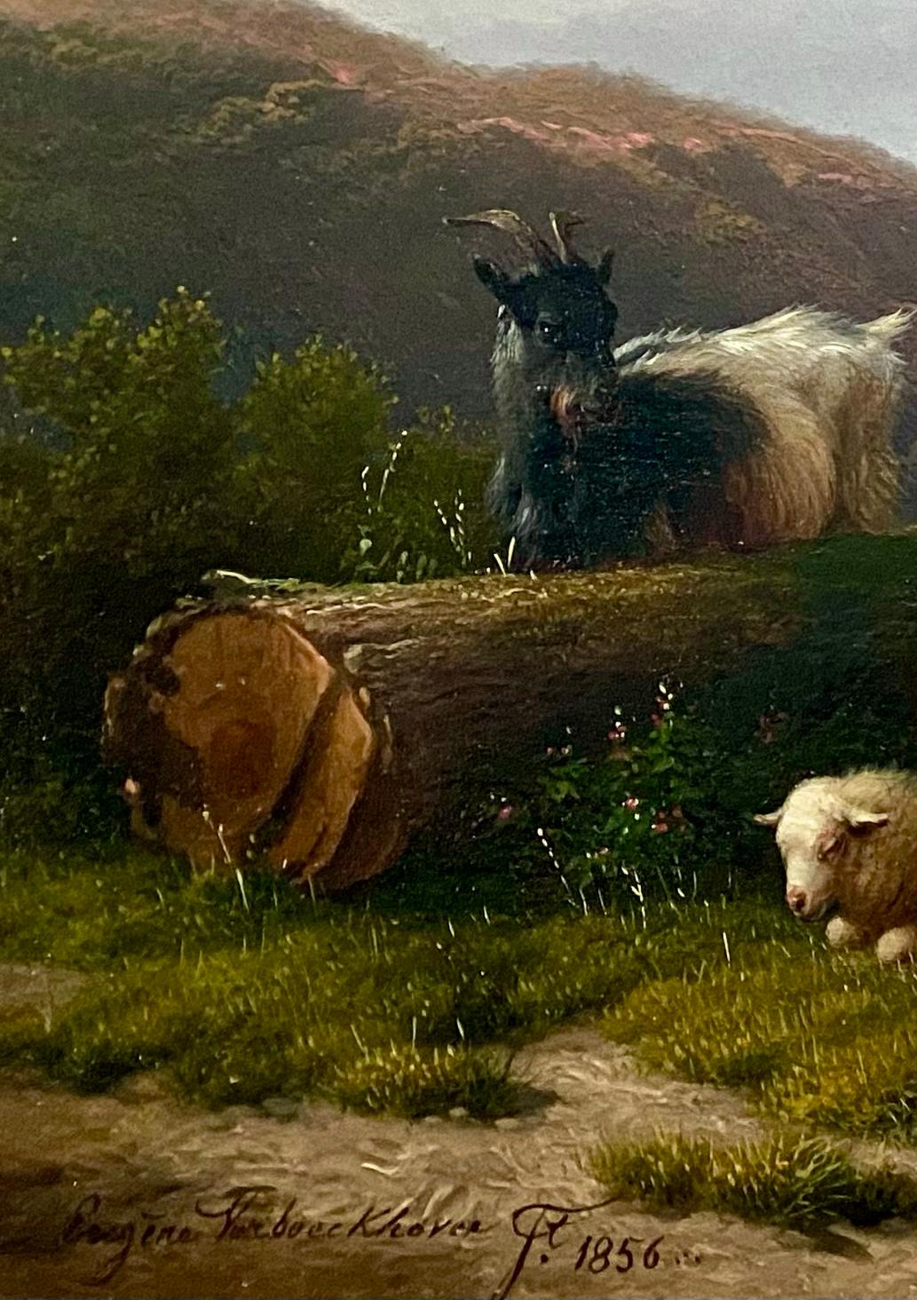 The Little Donkey