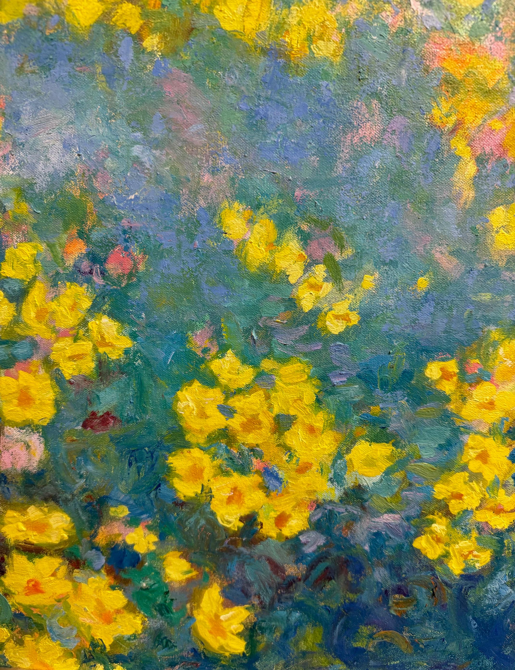 El cielo de la naturaleza, unido a un espléndido sol que corona la pradera vecina, ¡ofrece un respiro en tiempos agitados!  El amarillo caléndula se desvanece en amarillo narciso y amarillo limón flotando y serpenteando en un viaje contemporáneo