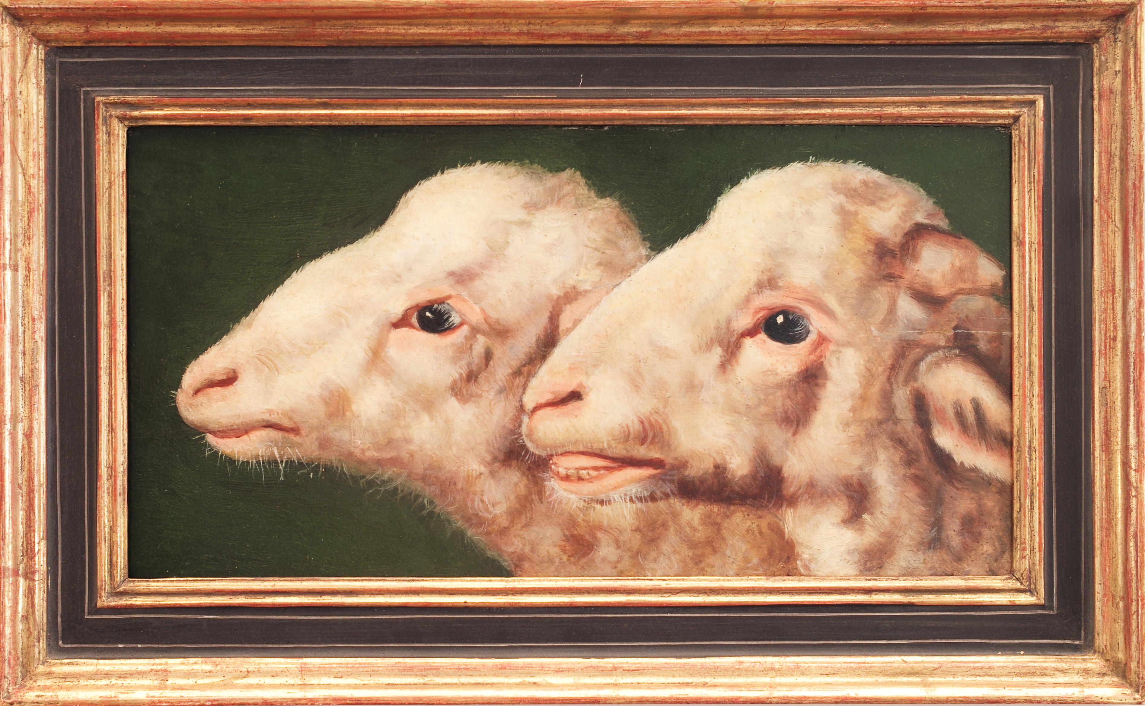 2 sheep's heads
