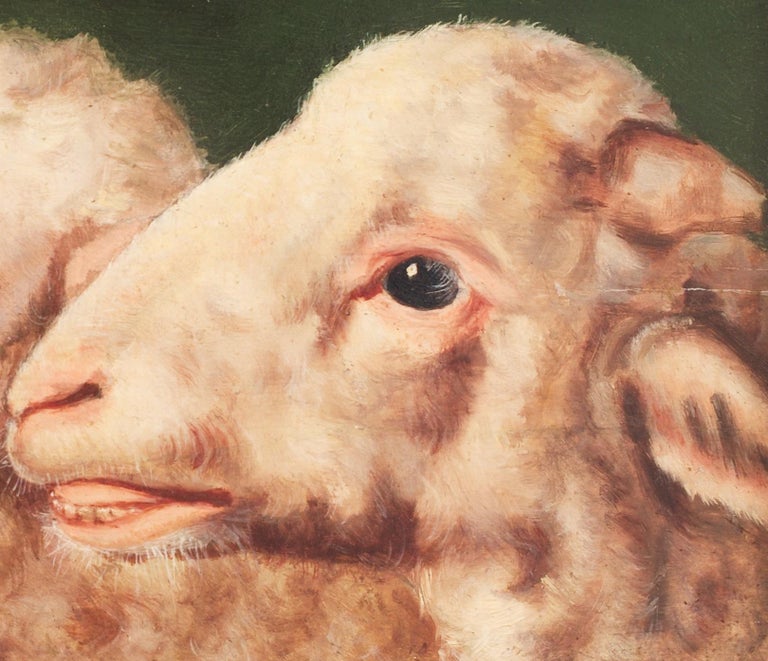 Study of Two Sheep Heads by Eugène Verboeckhoven (Attributed), Oil on