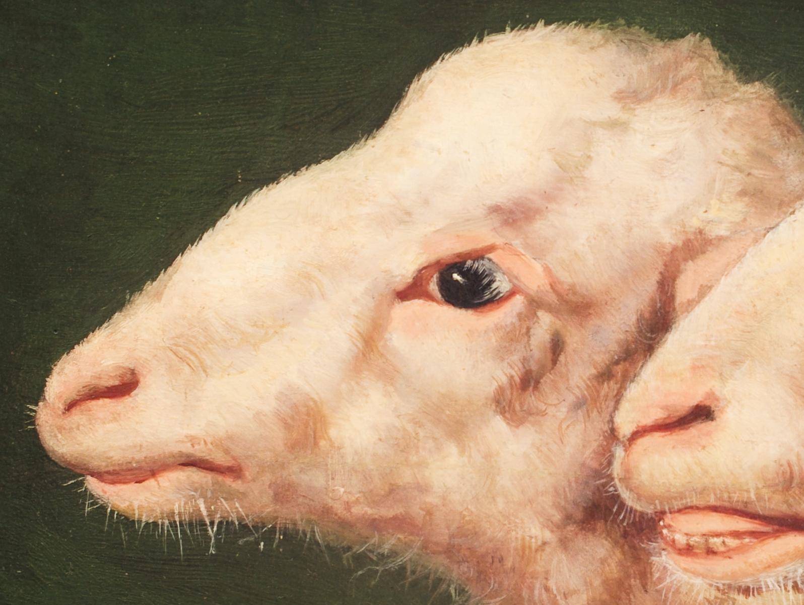 Study of Two Sheep Heads by Eugène Verboeckhoven (Attributed), Oil on Panel 1