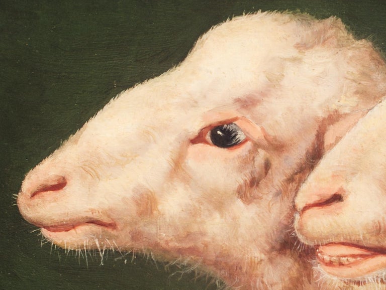 Study of Two Sheep Heads by Eugène Verboeckhoven (Attributed), Oil on