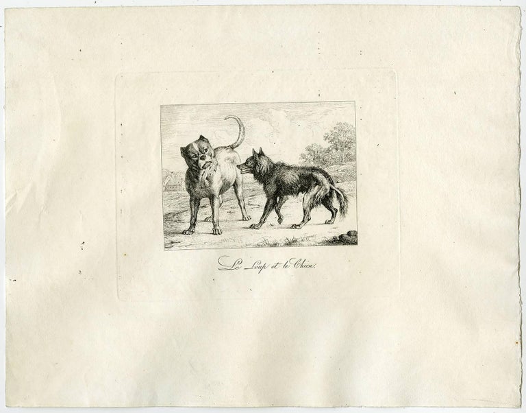 Eugène Verboeckhoven Le Loup Et Le Chien The Dog And The
