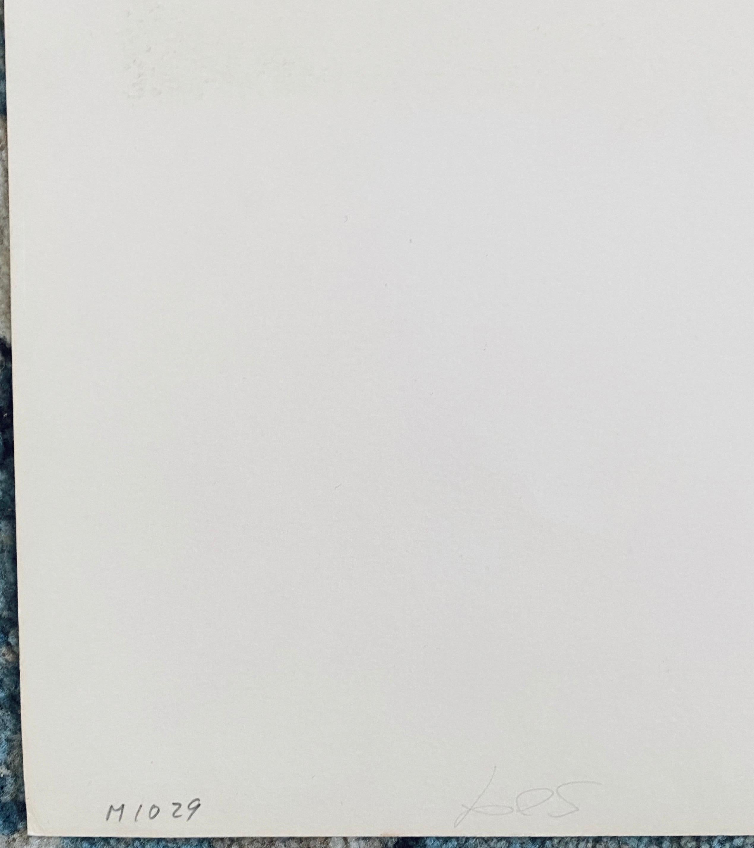 Artista italiano Serigrafia moderna Eugenio Carmi 6