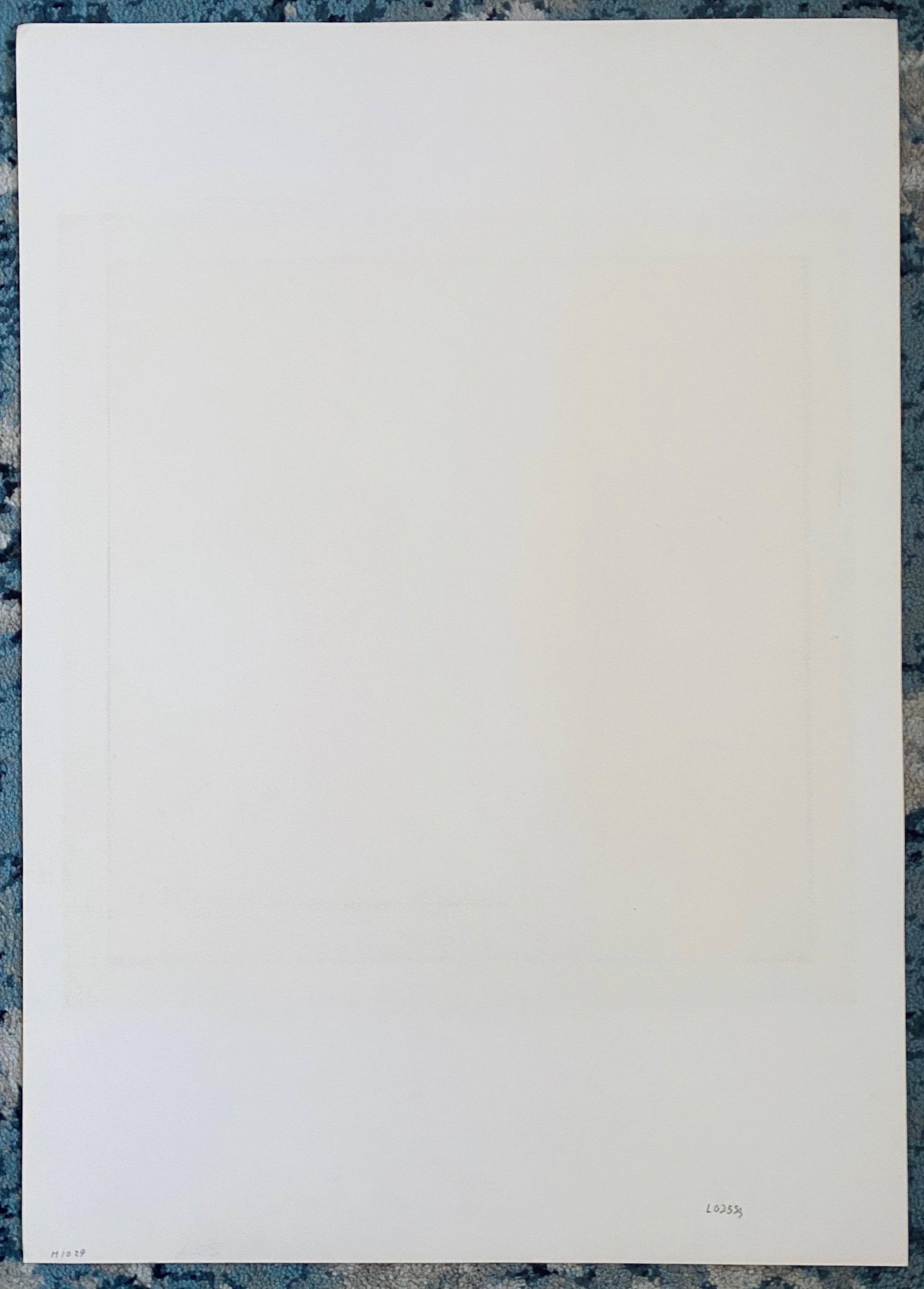 Sérigraphie moderne d'Eugenio Carmi, artiste italien en vente 7