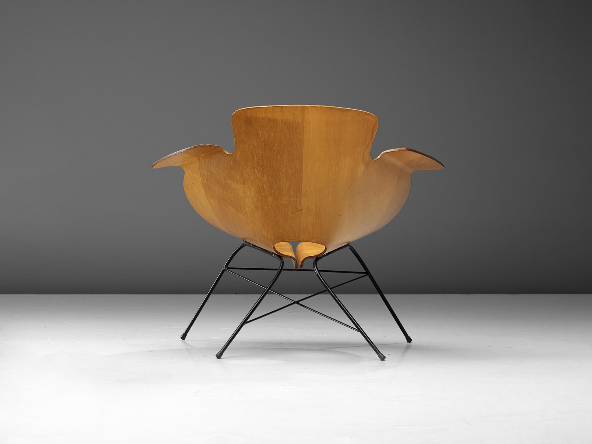 Eugenio Gerli Lounge Chair in Plywood and Metal In Good Condition In Waalwijk, NL