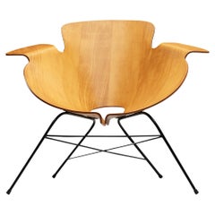 Eugenio Gerli Lounge Chair in Plywood and Metal