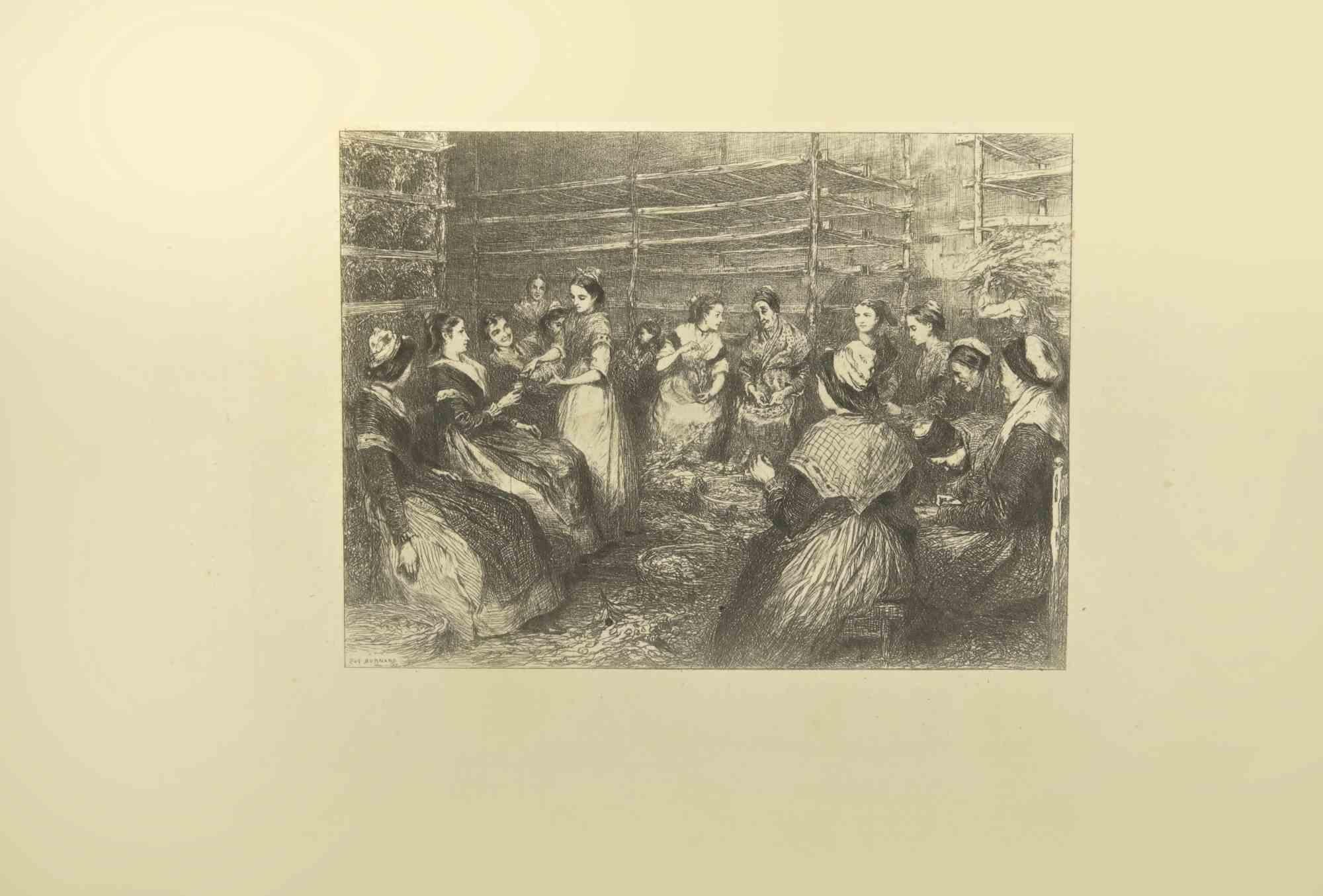 Cocoons è un'acquaforte realizzata da Eugène Burnand (1850-1921) alla fine del XIX secolo.

Firmato sul piatto.

Buone condizioni con foxing.
 
L'opera d'arte è realizzata attraverso tratti brevi e abili, una scena ammirevole creata dalla maestria