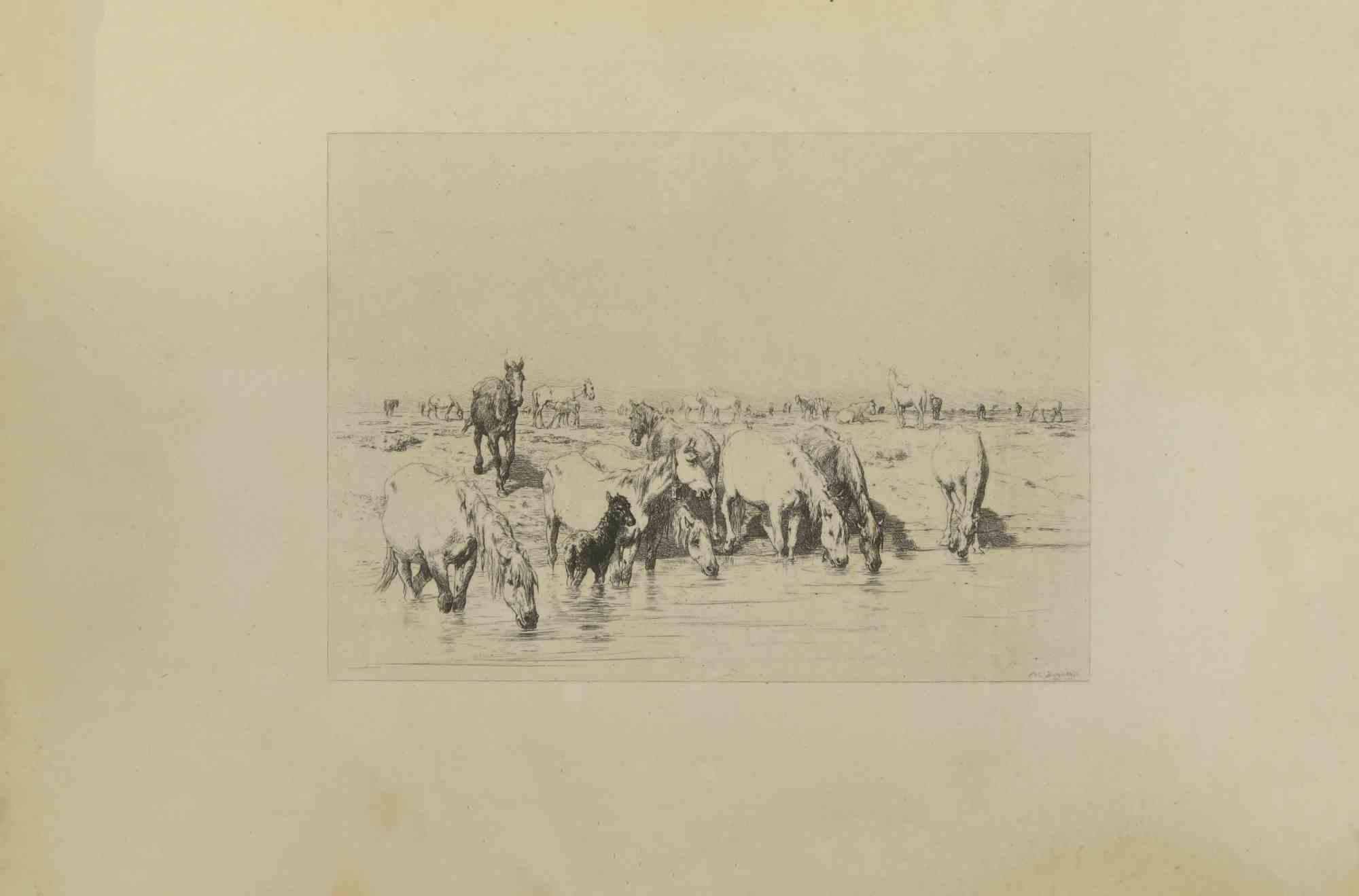 Troupeau de chevaux est une gravure originale réalisée par Eugène Burnand (1850-1921) à la fin du 19e siècle.

Signé sur la plaque.

Bon état avec des rousseurs.
 
L'œuvre est réalisée par des traits courts et habiles, une scène admirable créée par
