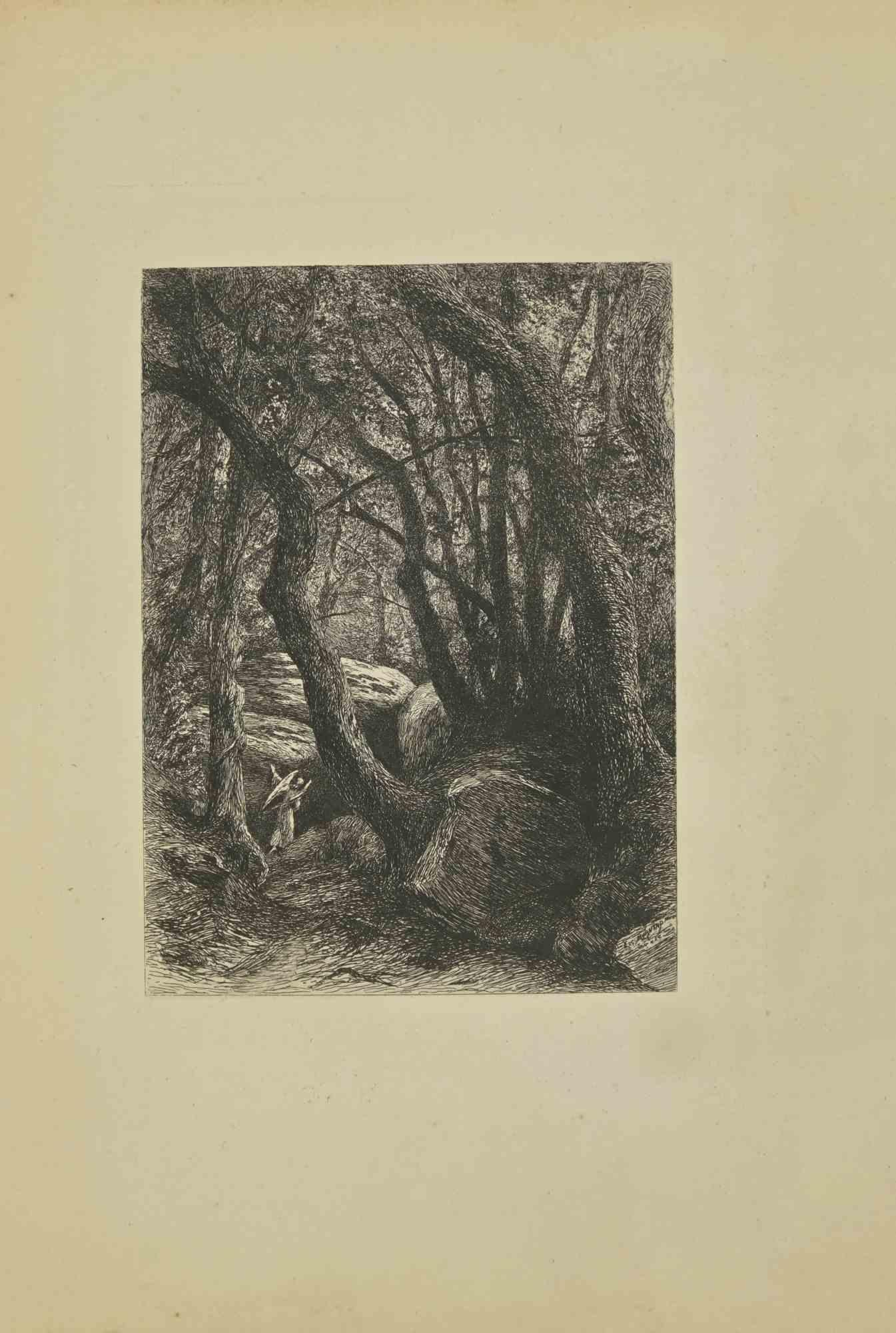 In The Forest est une gravure réalisée par  Eugène Burnand (1850-1921) à la fin du XIXe siècle.

Bon état avec des rousseurs.

L'œuvre est réalisée par des traits courts et habiles, une scène admirable créée par une maîtrise réaliste grâce à une