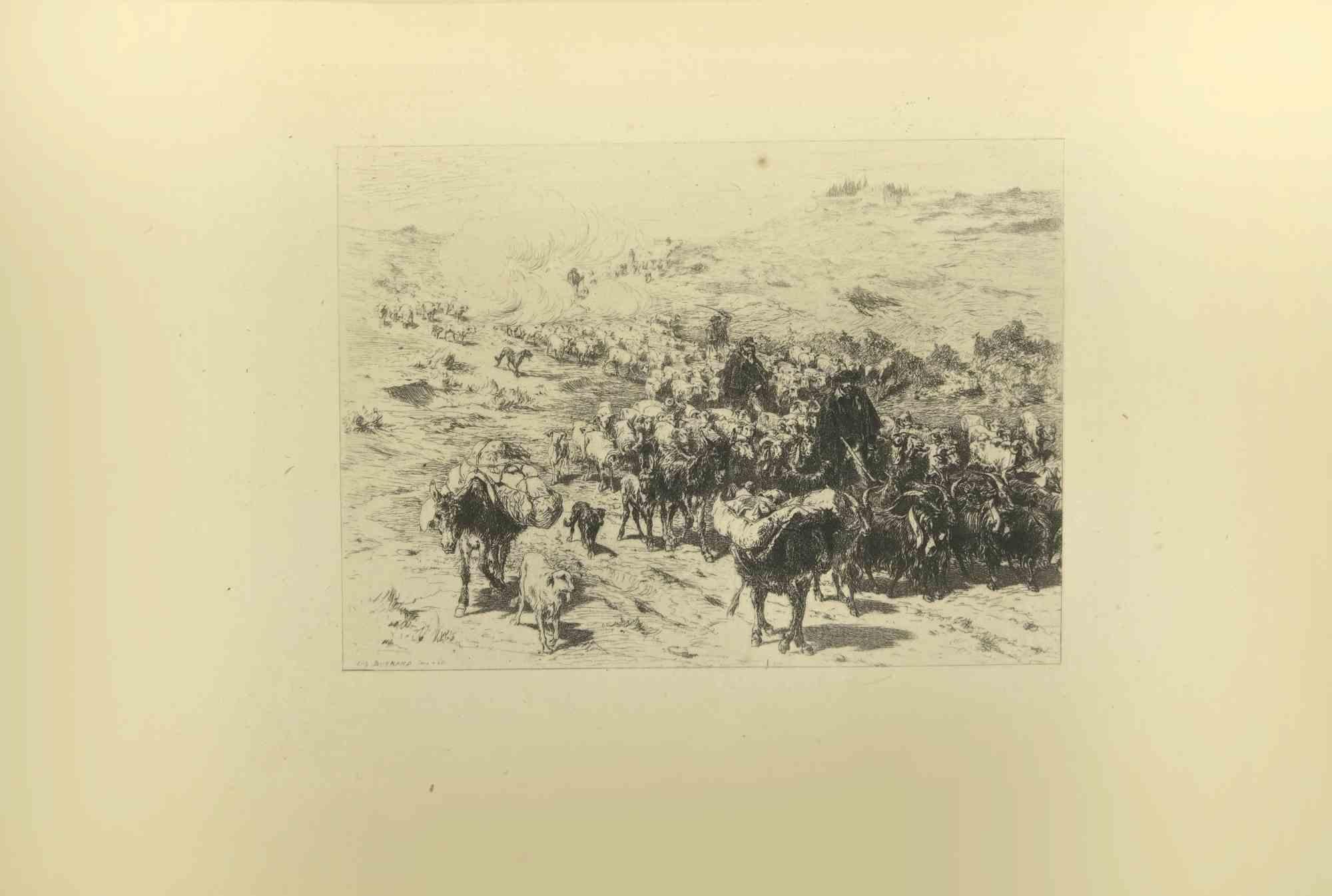 The Descent of the Herds is an etching realized by Eugène Burnand (1850-1921) in the Late 19th century.
Good conditions with foxing.
The artwork is realized through short and deft strokes, an admirable scene created by realistic mastery through