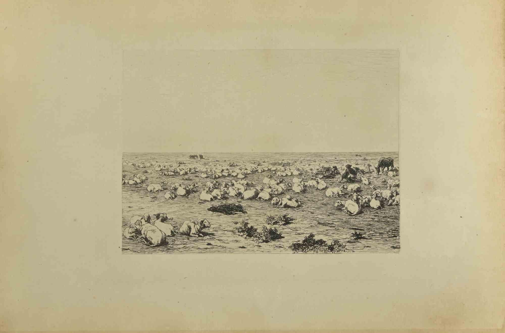 Die Herde ist eine Originalradierung von Eugène Burnand (1850-1921) aus dem späten 19. Jahrhundert.

Guter Zustand mit Stockflecken.
 
Das Kunstwerk wird durch kurze und geschickte Striche realisiert, eine bewundernswerte Szene, die durch
