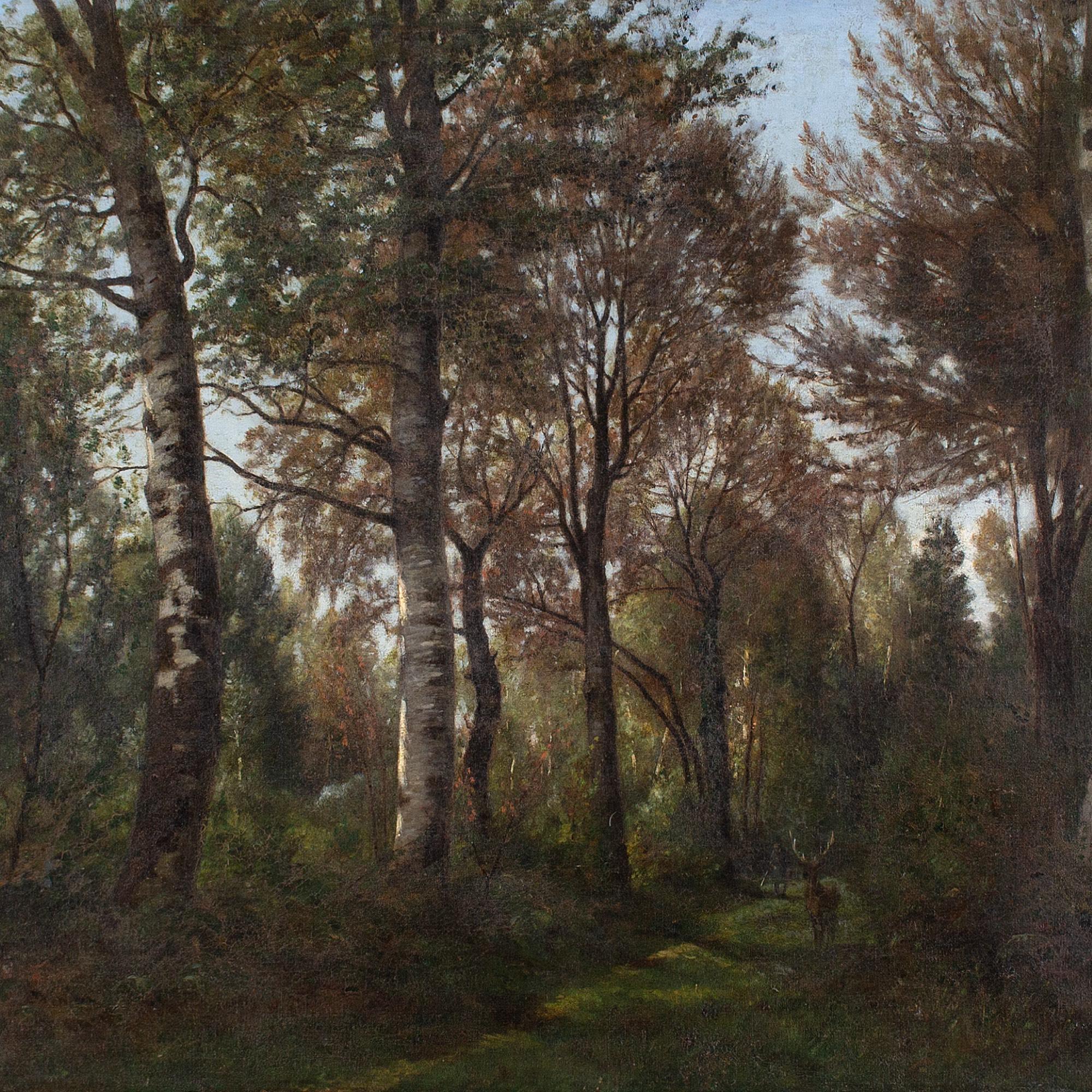 Eugène Devé, Forest View With Deer, Oil Painting 2