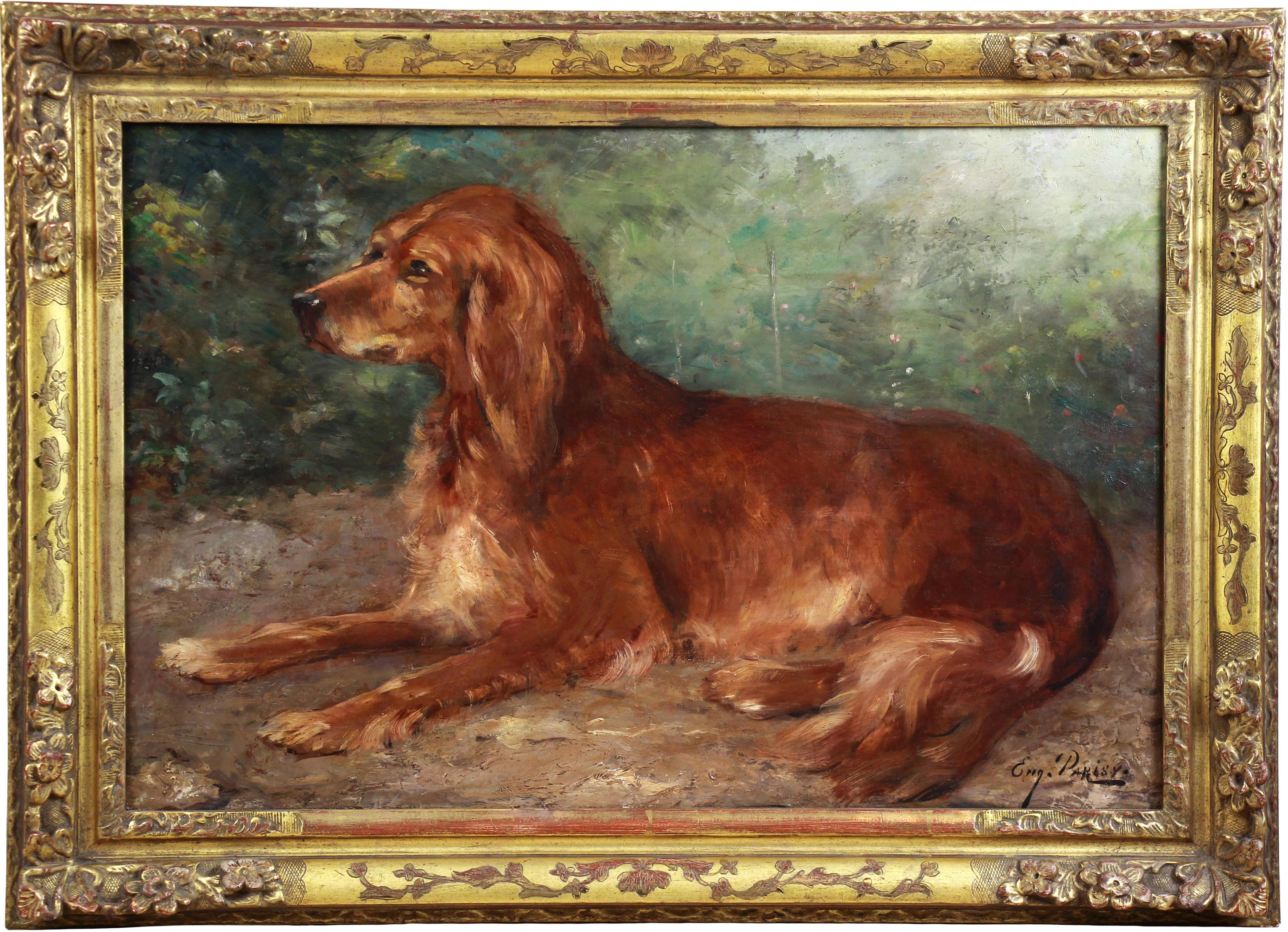 Ritratto di cane Setter irlandese, pittura a olio su tavola francese del 19° secolo