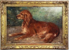 Ritratto di cane Setter irlandese, pittura a olio su tavola francese del 19° secolo