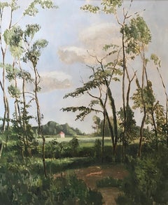 Countryside landscape