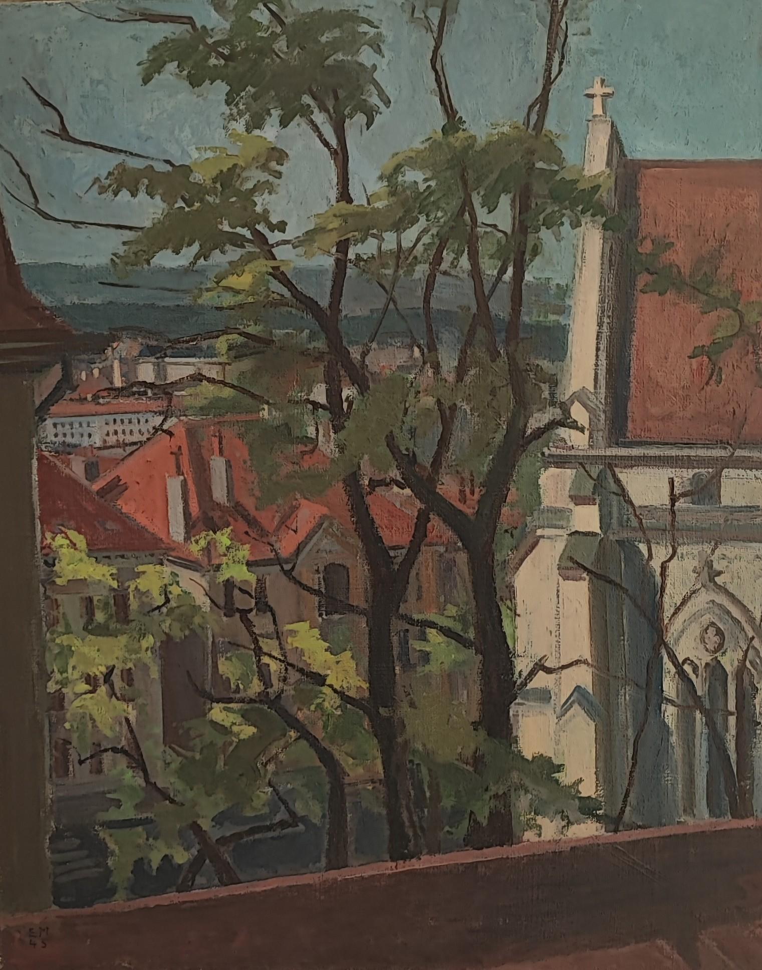 View from the old town over Geneva