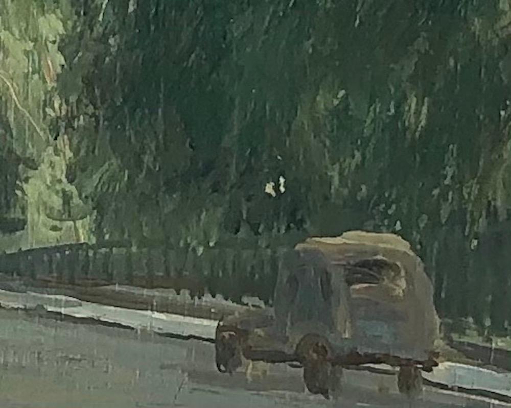 Walk avenue William Favre, Genf (Grau), Landscape Painting, von Eugène Louis Martin
