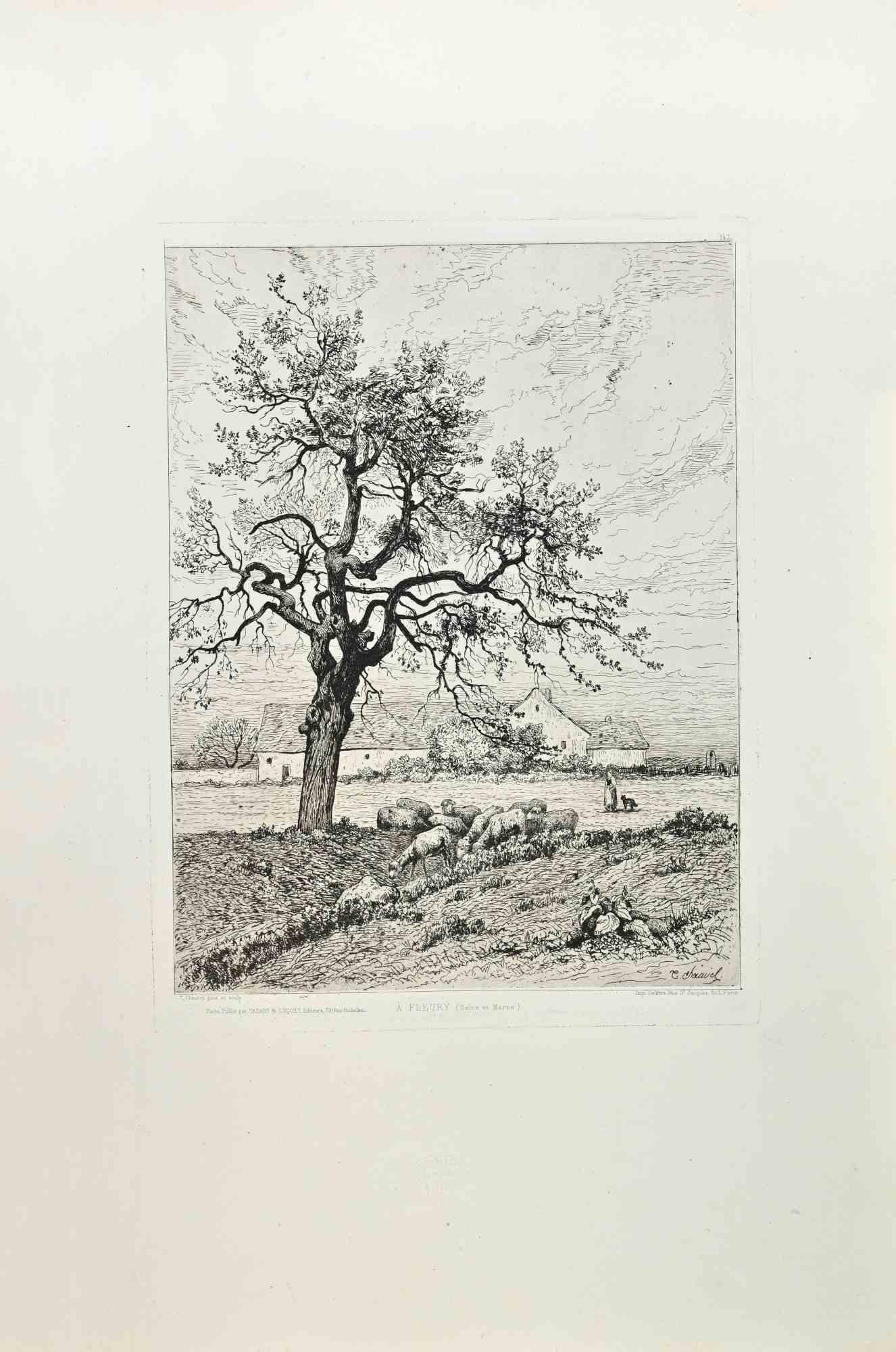 Etching on laid paper
Signed in plate lower right: E. Thirion
Published by Cadart & Luquet, Éditeurs, 79 Rue Richelieu, Paris
With the blindstamp of the Société des Aquafortistes, lower margin
A finely executed pastoral etching by Eugène Thirion, À