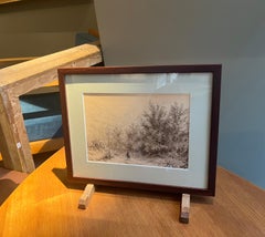 Walker in a wood - Landscape in the South of Italy