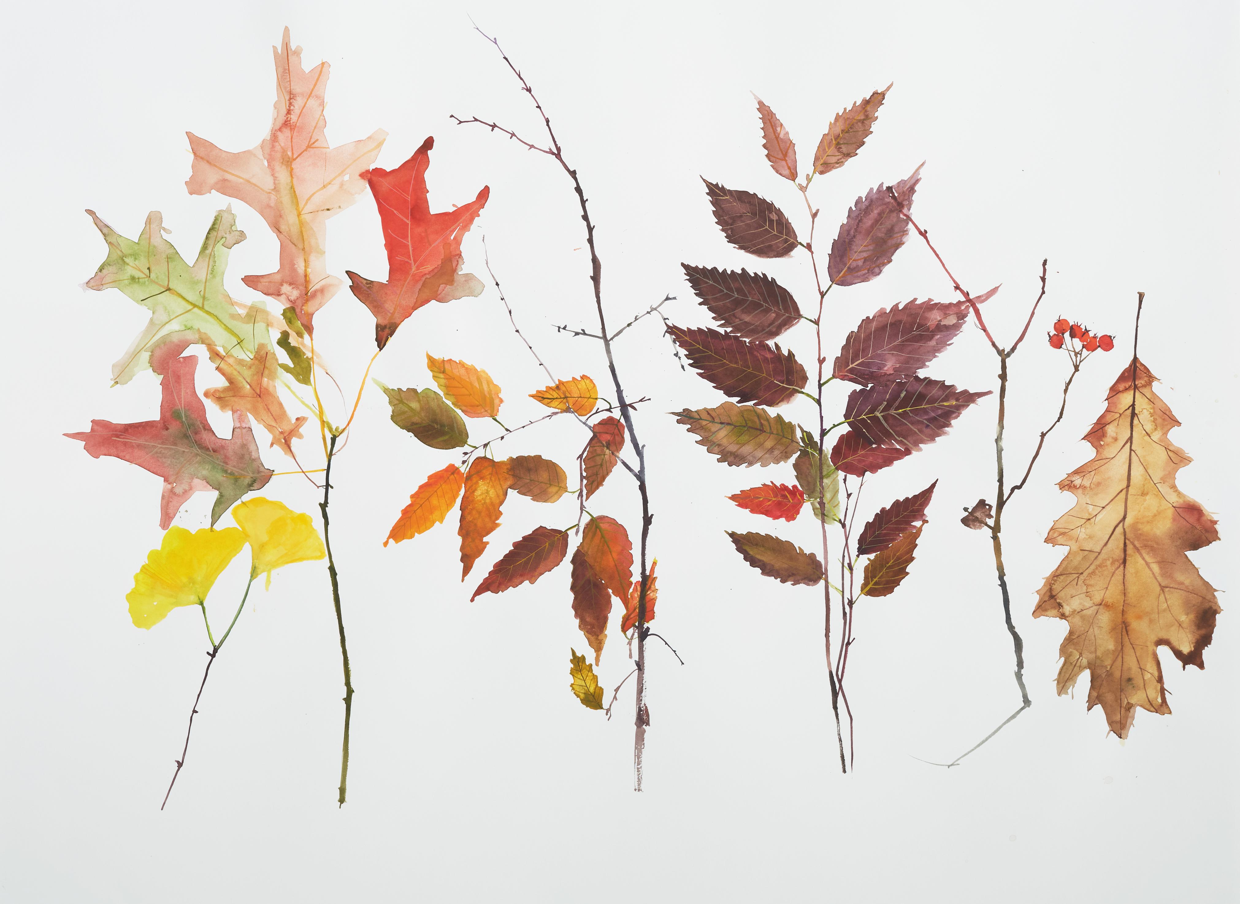 Eunju Kang Still-Life Painting - Fall Leaves