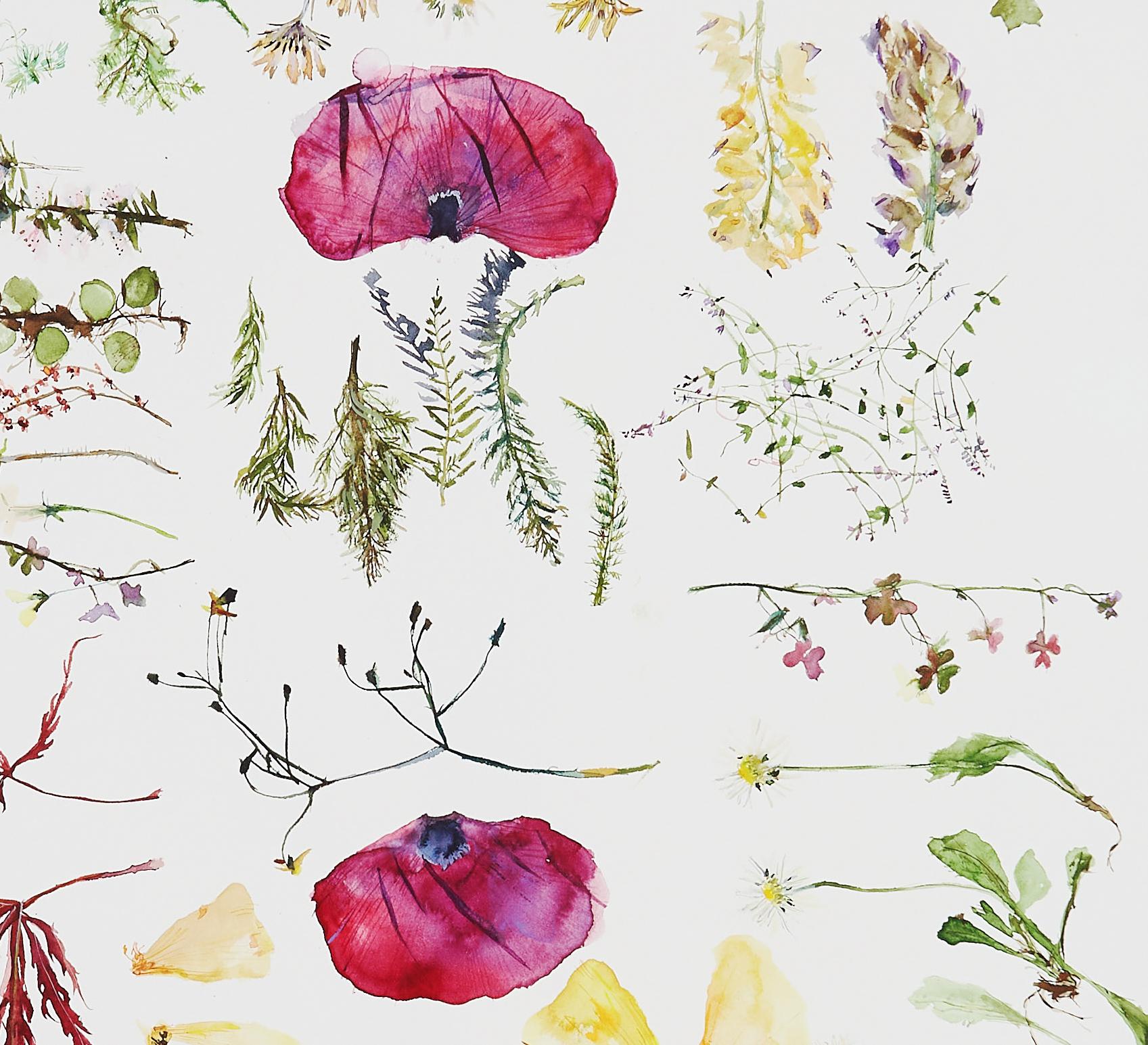 Regalo di mia sorella, Nuova Zelanda (floreale, natura morta, acquerello, fiori) - Print di Eunju Kang