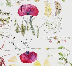 Gift from My Sister, New Zealand (floral, still life, watercolor, flowers)
