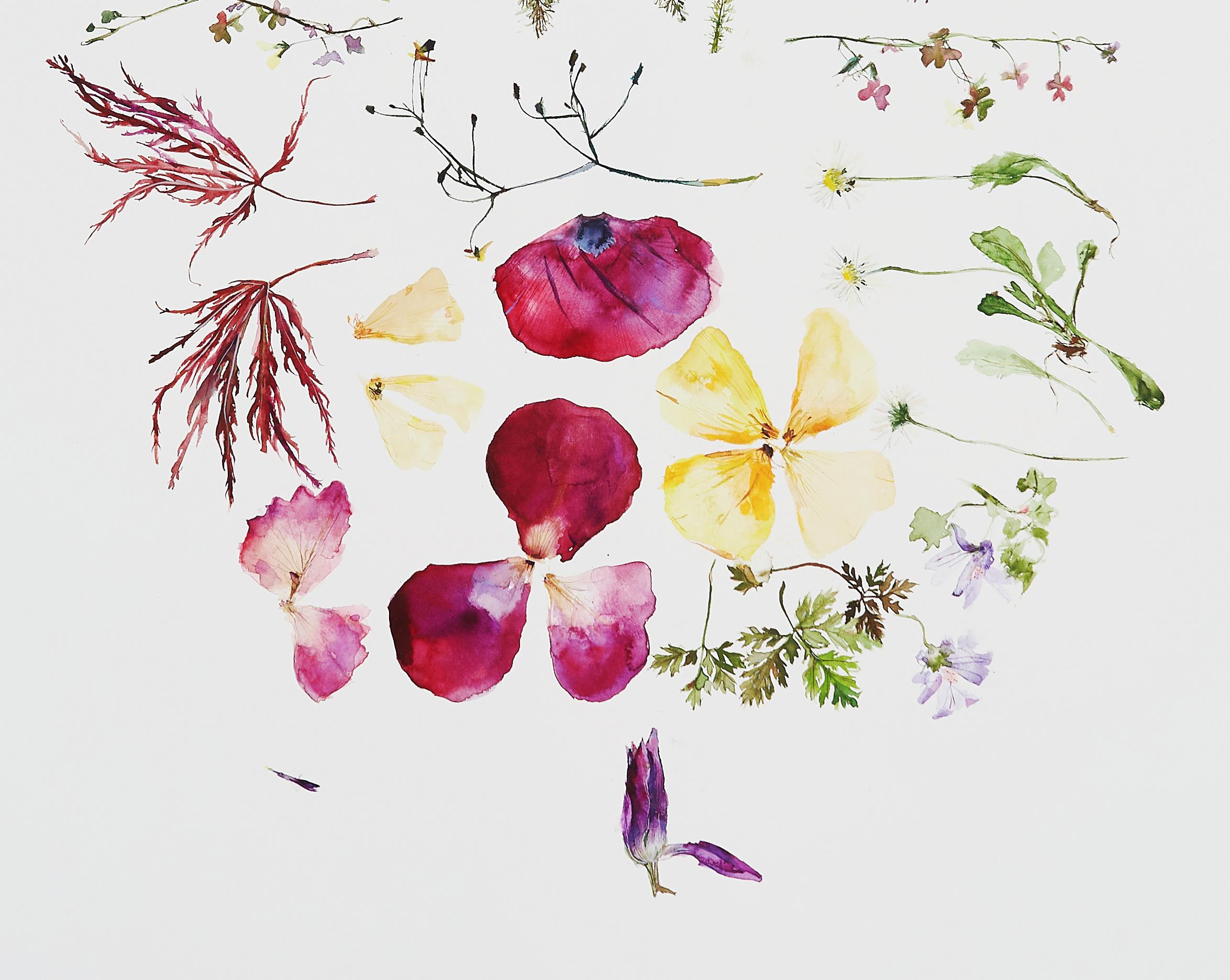 Regalo di mia sorella, Nuova Zelanda (floreale, natura morta, acquerello, fiori) - Still-Life Print Grigio di Eunju Kang