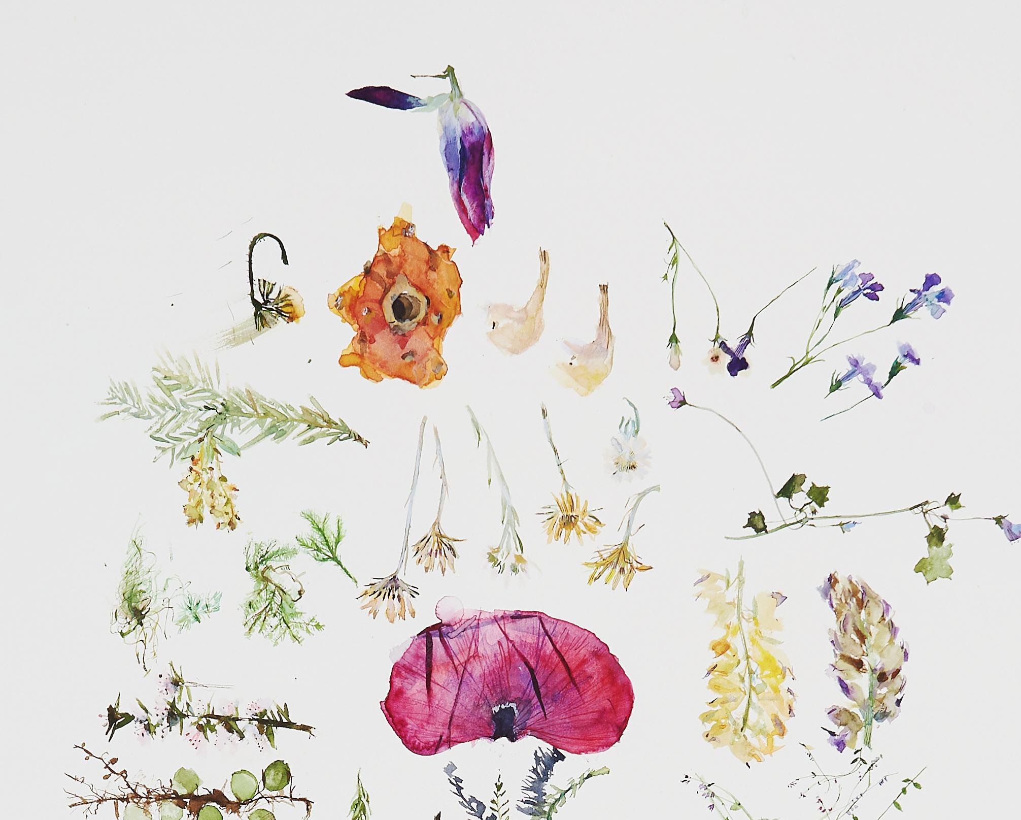 Regalo di mia sorella, Nuova Zelanda (floreale, natura morta, acquerello, fiori) in vendita 1