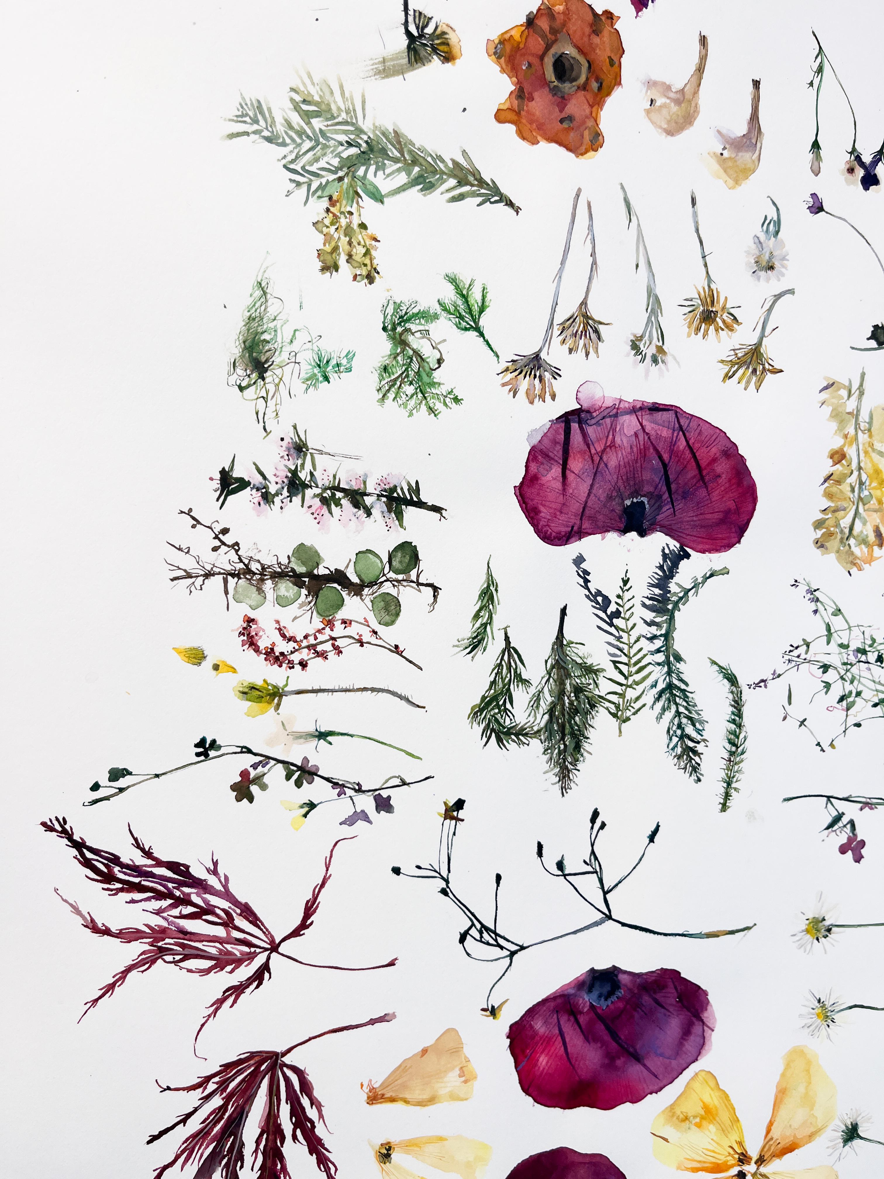 Regalo di mia sorella, Nuova Zelanda (floreale, natura morta, acquerello, fiori) in vendita 2