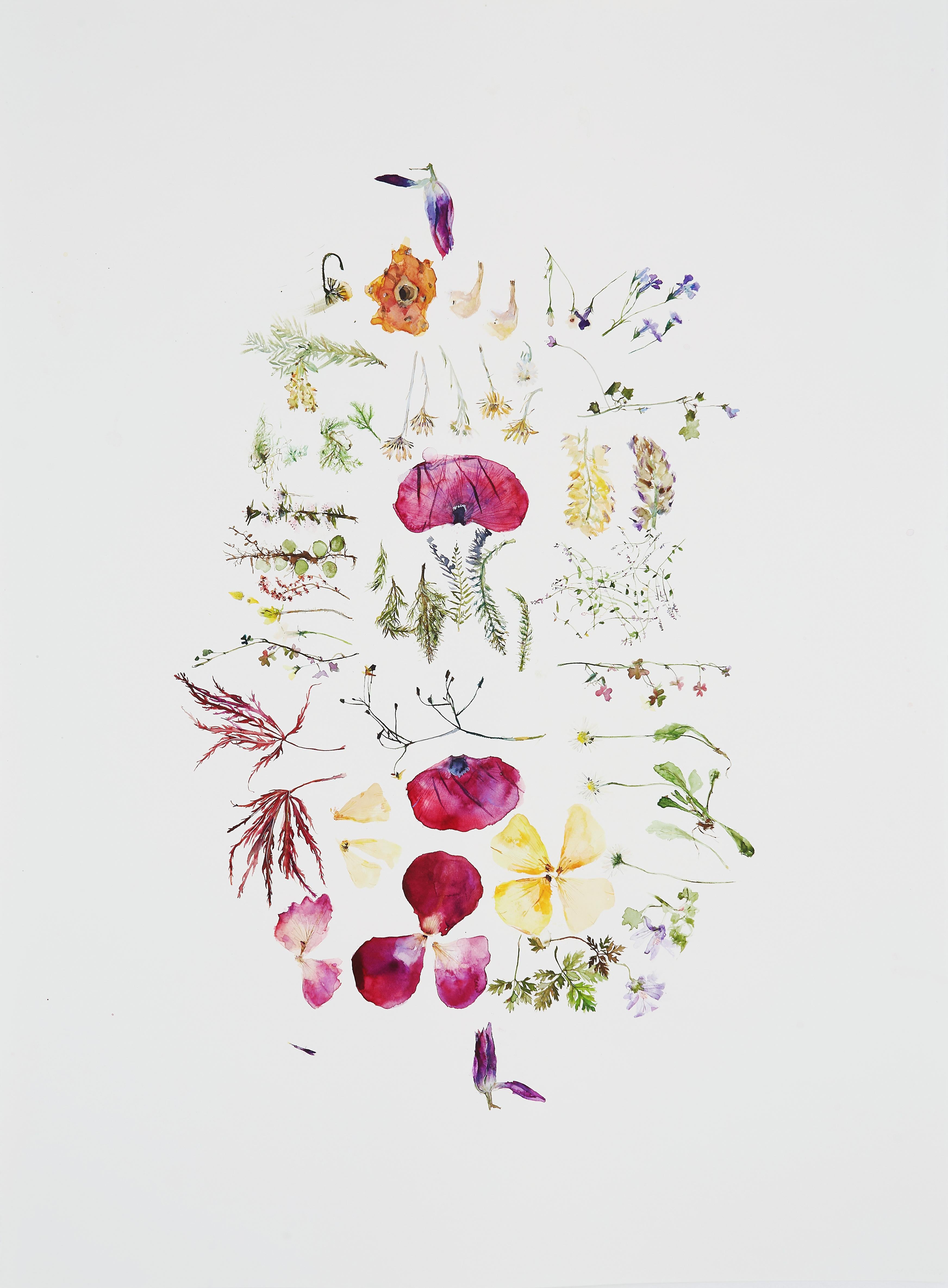 Gift from My Sister, New Zealand (floral, nature morte, aquarelle, fleurs)
