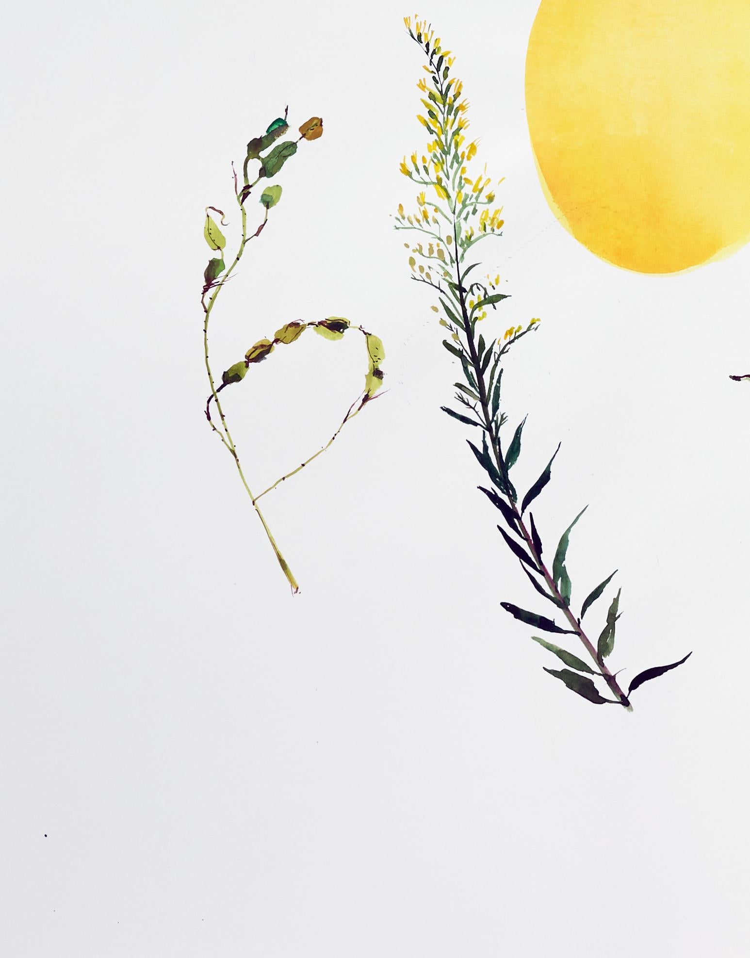 Calabaza en medio (floral, naturaleza muerta, acuarela, colores vivos, espacio en blanco) - Print de Eunju Kang