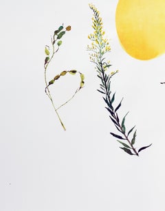 Gourd in the Middle (floral, still life, watercolor, bright colors, white space)