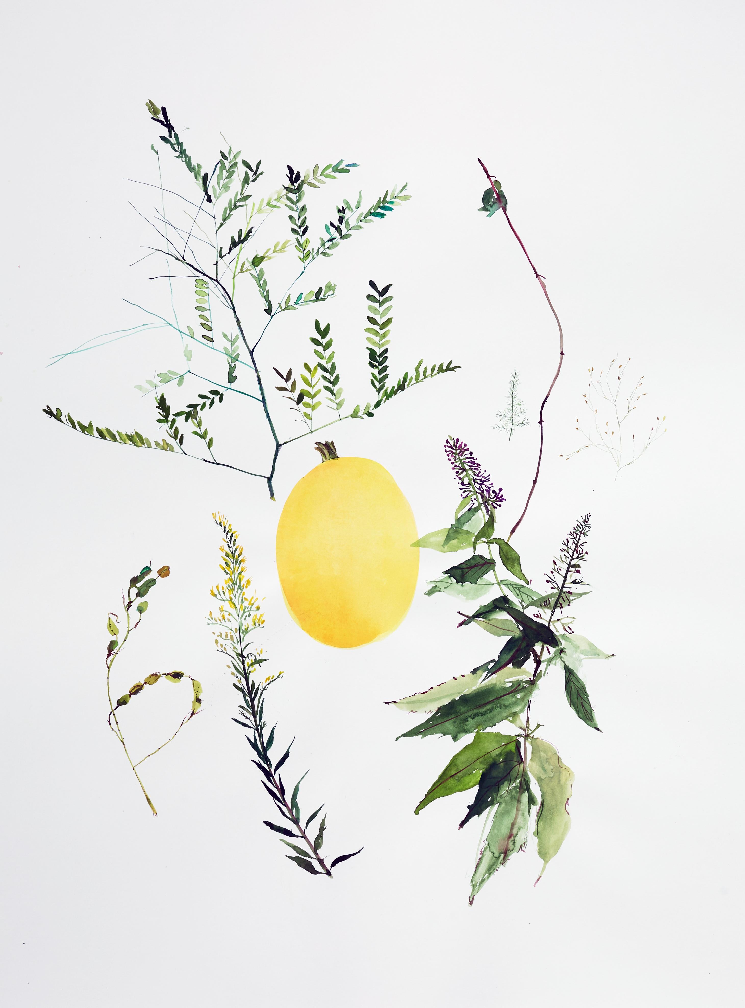 Zucca al centro (floreale, natura morta, acquerello, colori vivaci, spazio bianco)